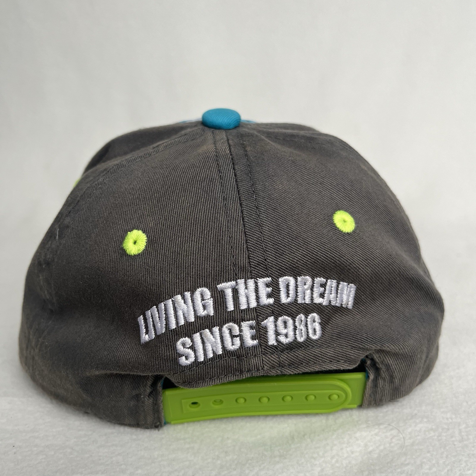 Shaun White Hat Cap Snap Back Living the Dream Multicolor Youth