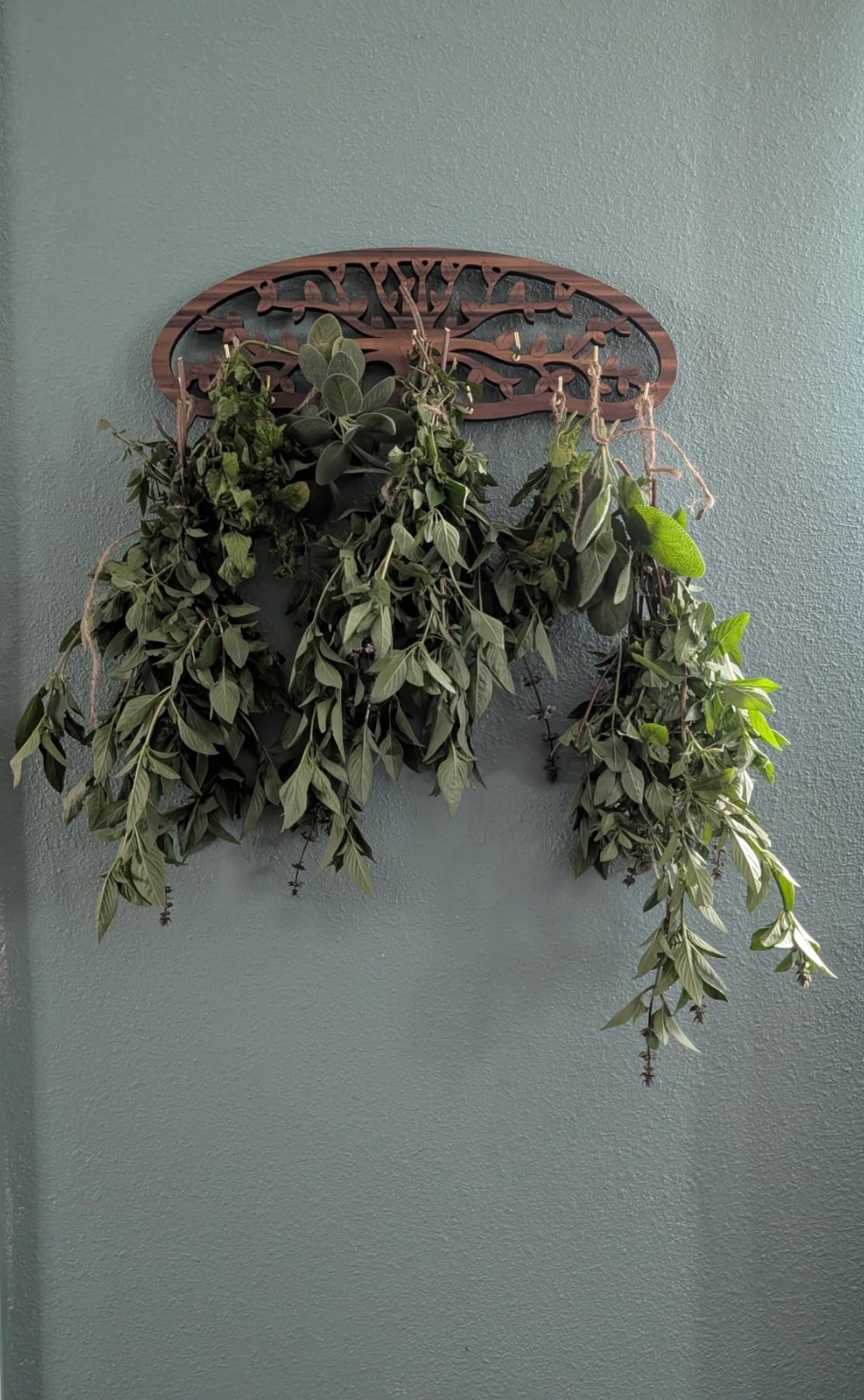 Wall Mounted Herb Drying Rack Tree Design Holds 11 Bouquets Wooden Hanging Decor
