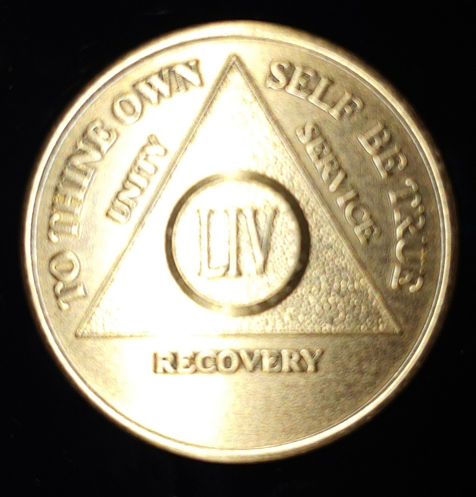 Alcoholics Anonymous AA 54 Year Bronze Medallion Coin Chip Token Sobriety Sober
