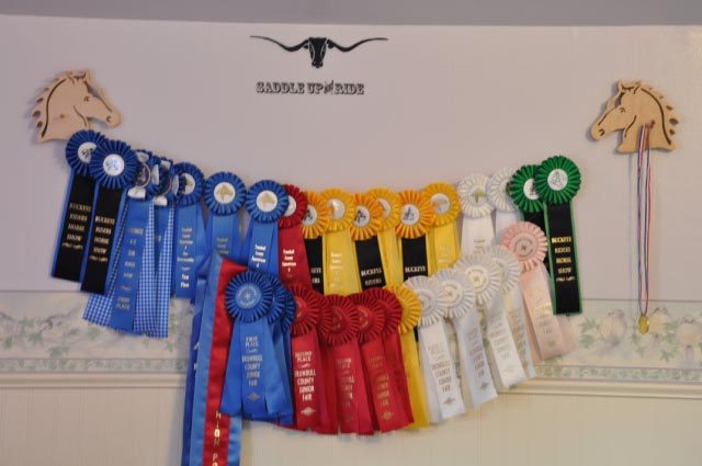 Western or English Horse Head Show Ribbon Holder  Wall Display  Scroll Saw Award