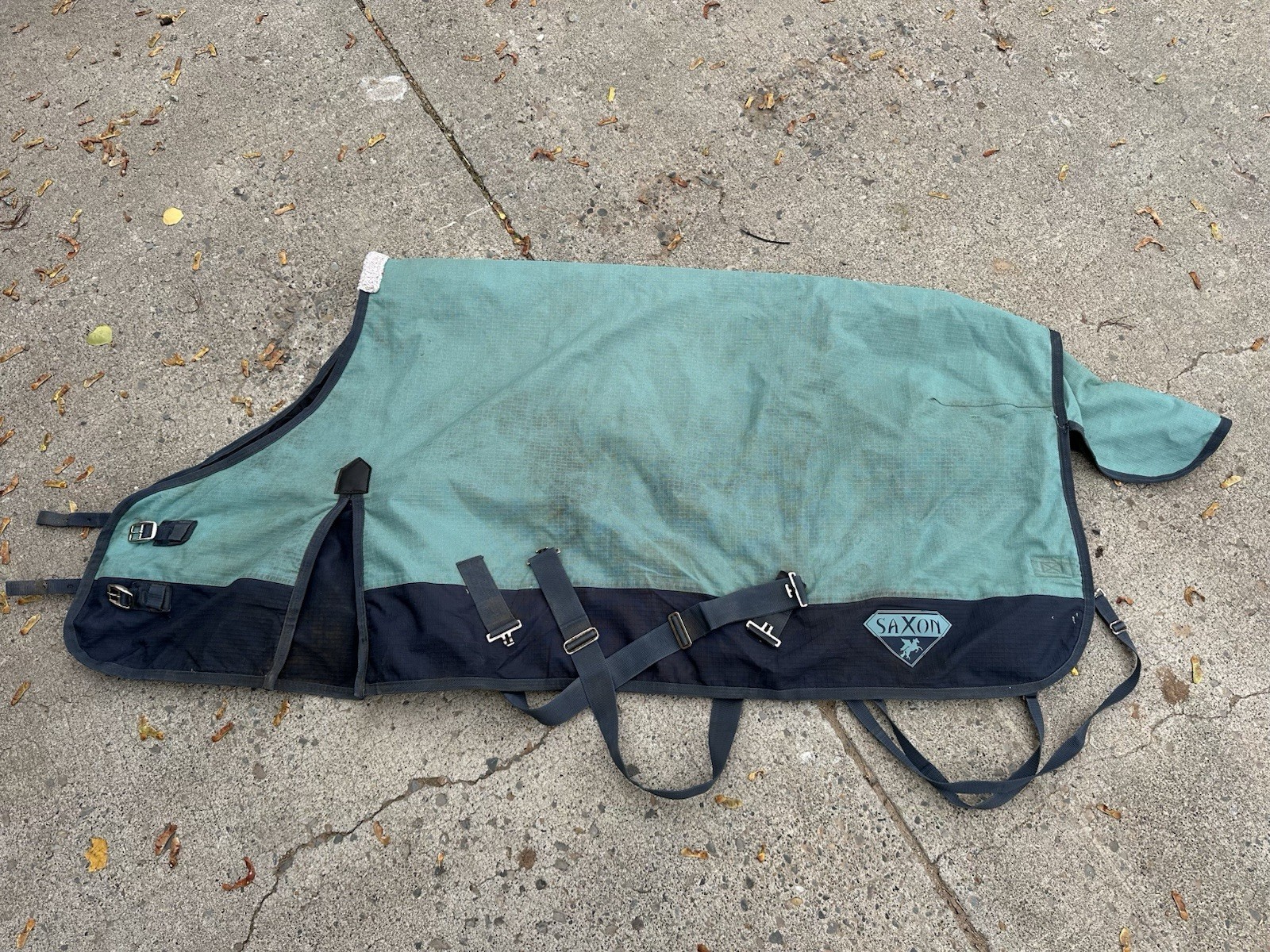 Horse Tack - 66” Saxon Waterproof Lightweight Blanket