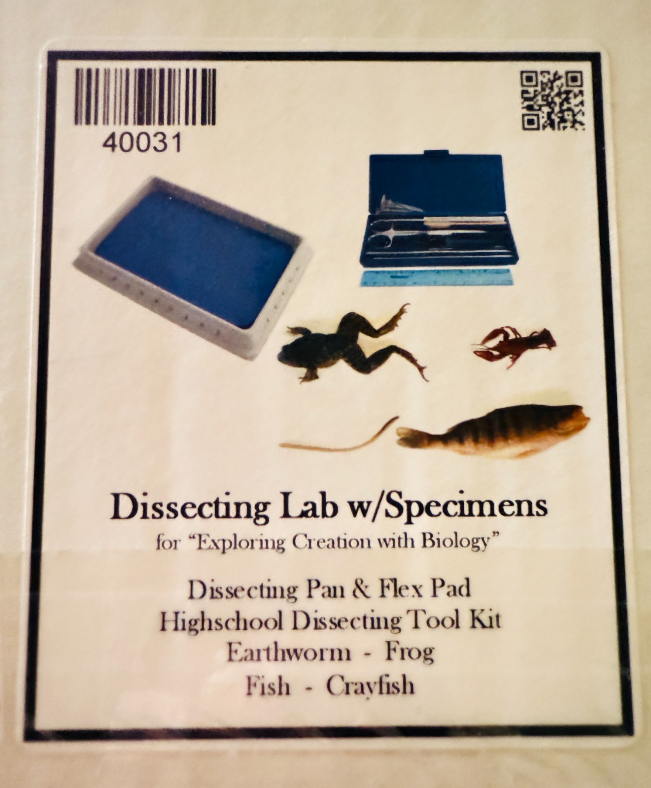 Nature's Workshop Plus! Dissecting Lab w/Specimens - Missing Earthworm