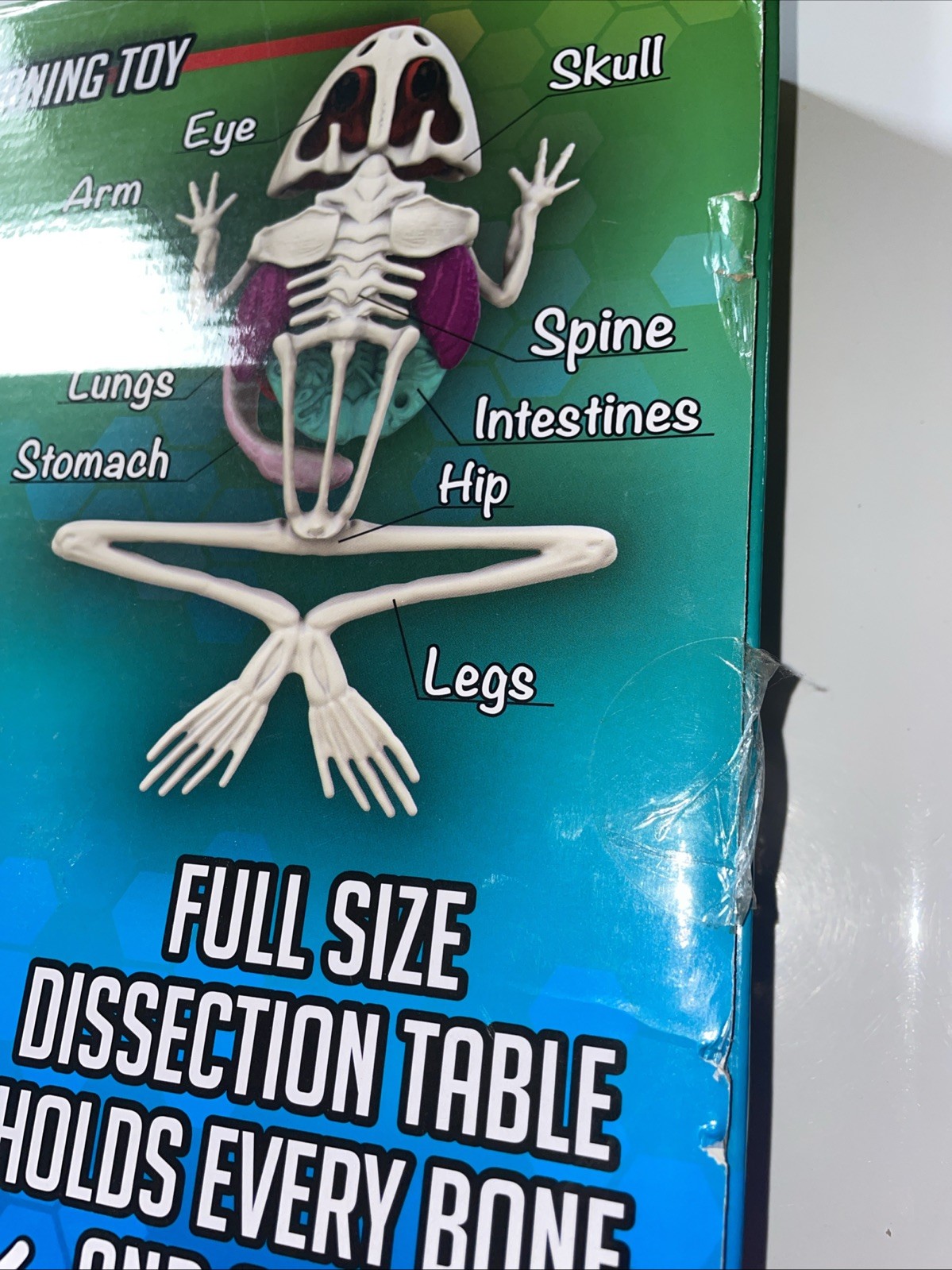 Dissect-It Frog & Piranha Mega Lab Playset [30 Piece Set!]