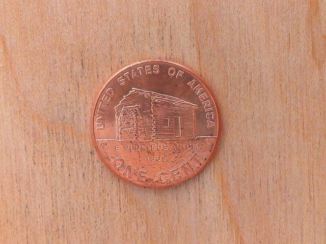 2009 D Lincoln Cent Birth & Early Childhood Actual Coin # 2