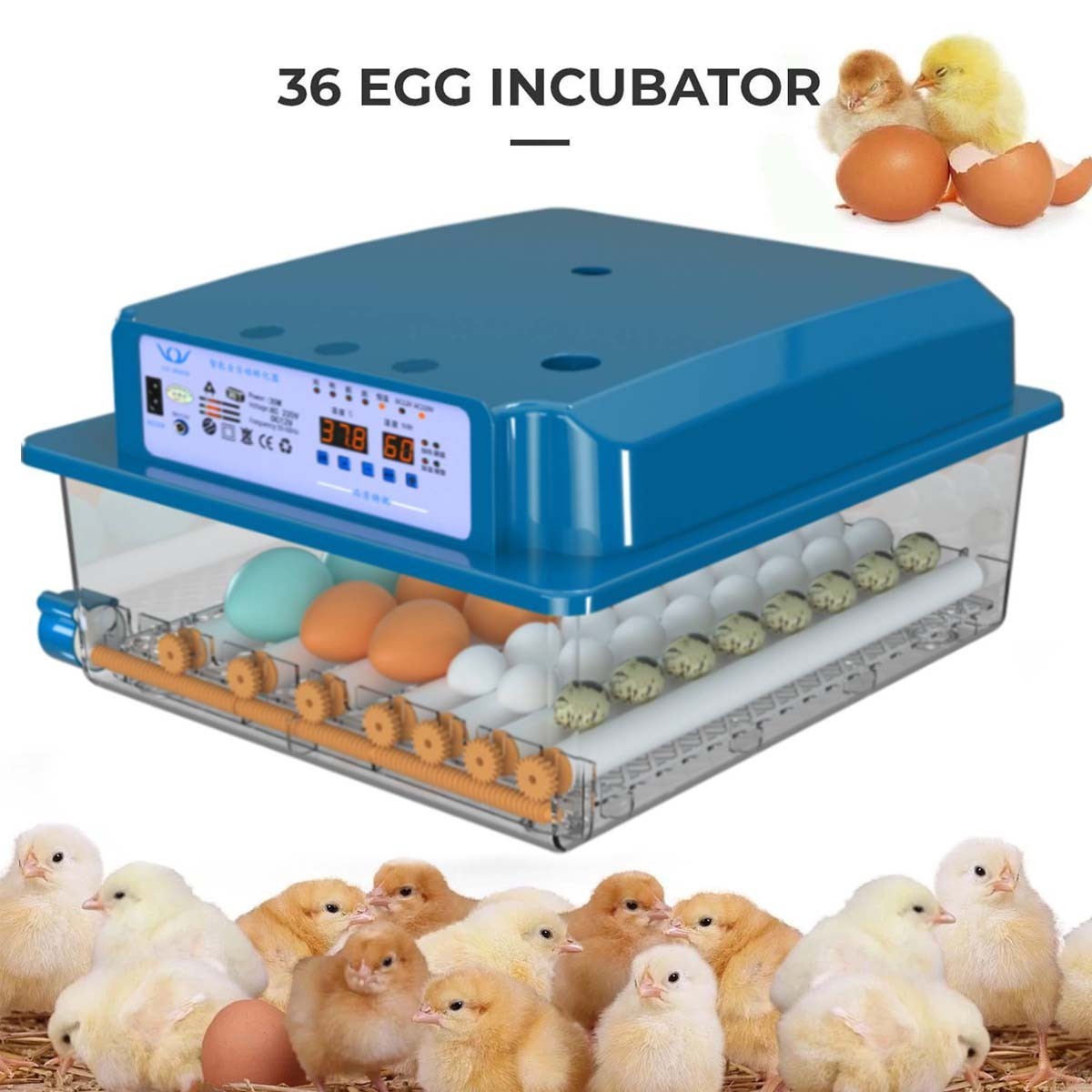 36 Egg Incubator with Auto-Turning,Temperature Humidity Control Egg Hatcher Bule