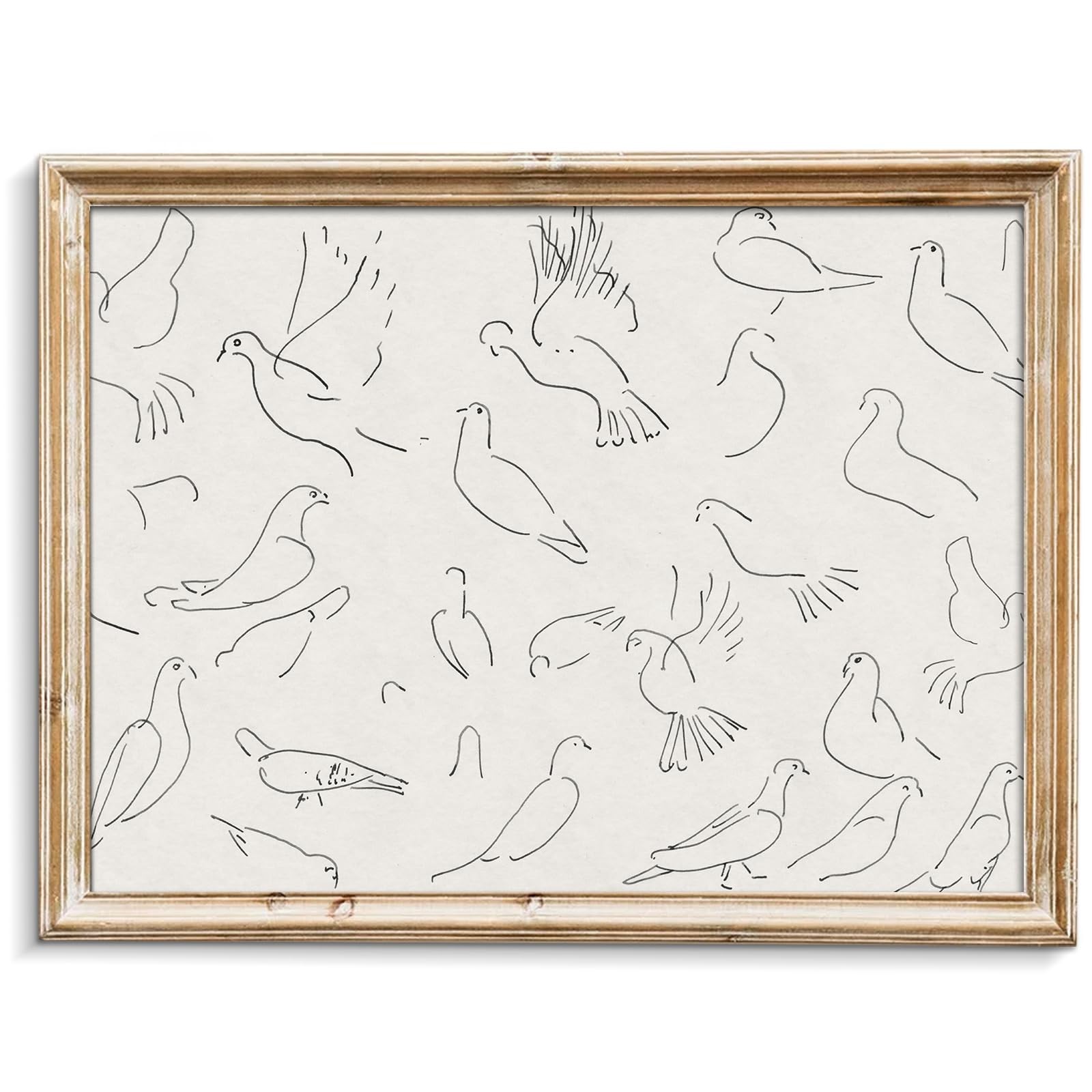 Vintage Animal Drawing Birds Line Art Sketch 10"L x 8"W, Bird