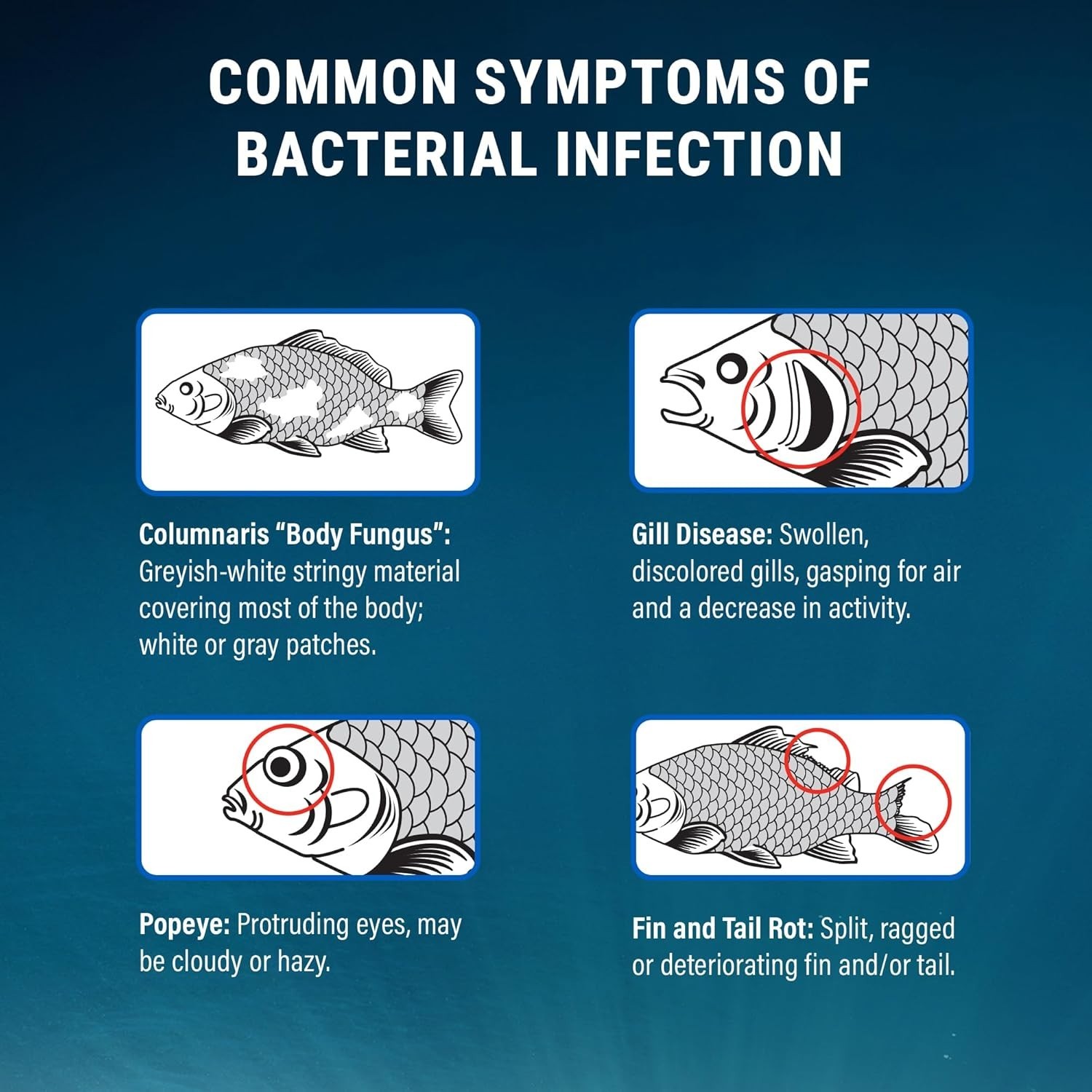 Fritz Maracyn Fish Medication for Bacterial Infections - 20 Pack