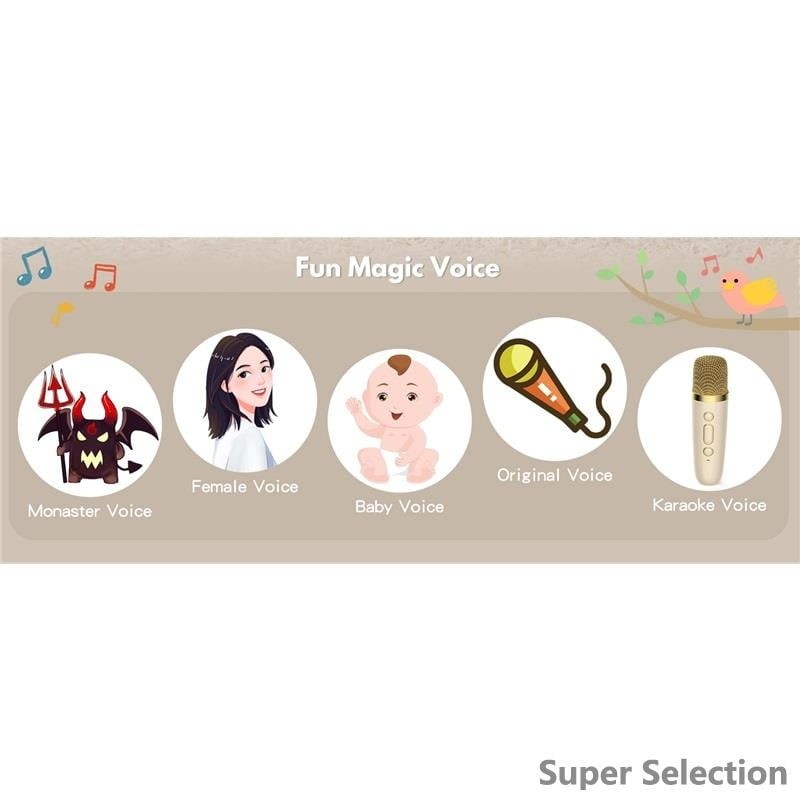 Kids Karaoke Machine With 2 Wireless Mics, Portable Bluetooth With LED Lights