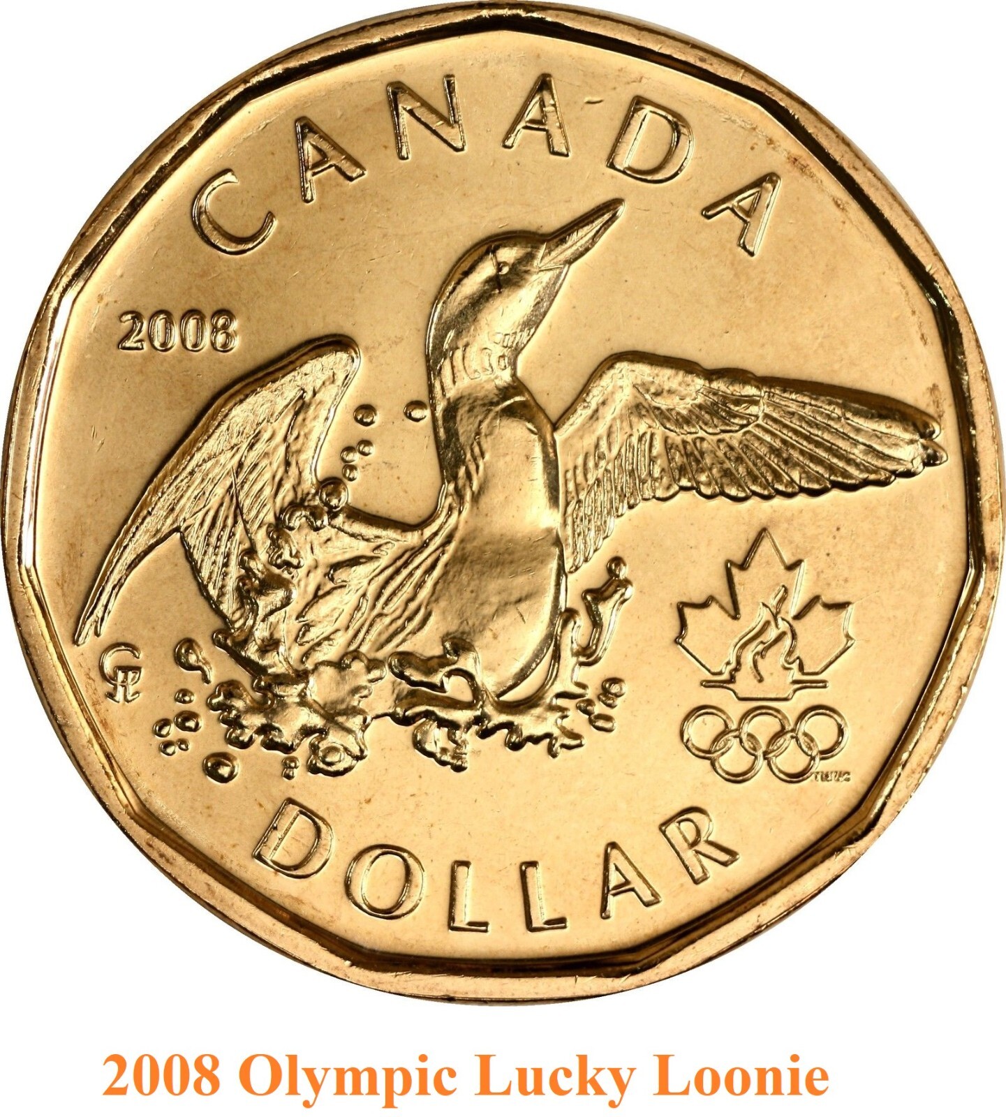 2008 Canada Olympics Lucky Loonie Coin. UNC. One Dollar $1 Loon