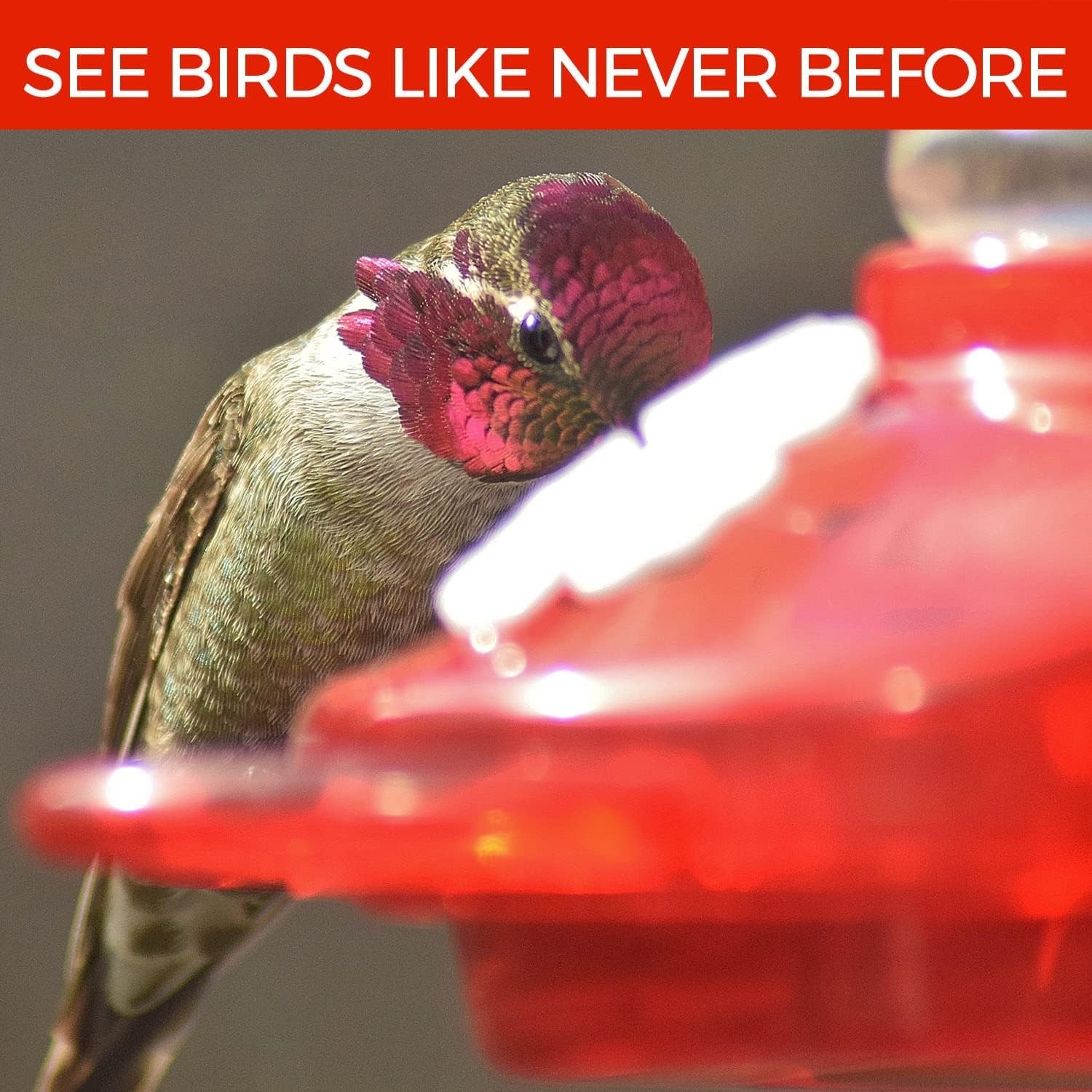 Large Leak Proof Window Hummingbird Feeders for 1 Pack, Read and Crystal