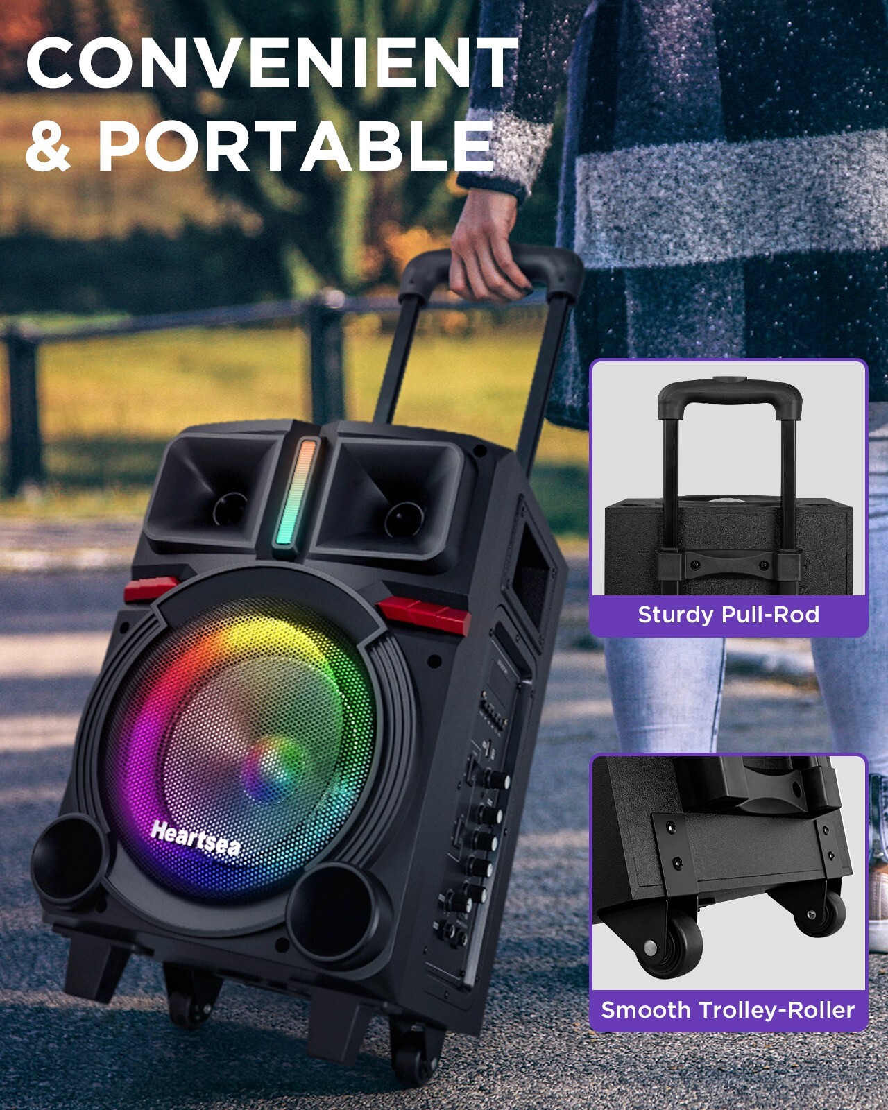 Karaoke Machine with 2 Wireless Microphones & Bluetooth Speaker