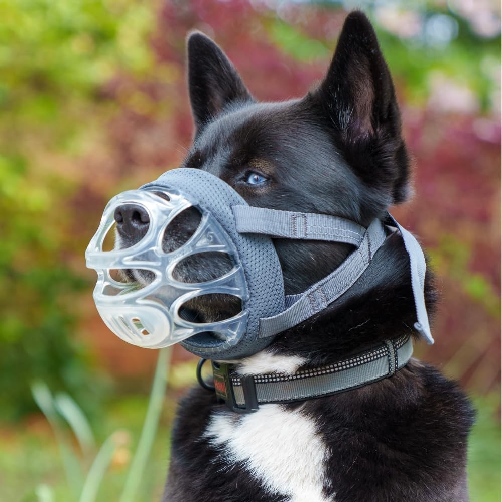 INVISA Basket Dog Muzzle - Patented Humane Design with Facial Visibility, Pad...