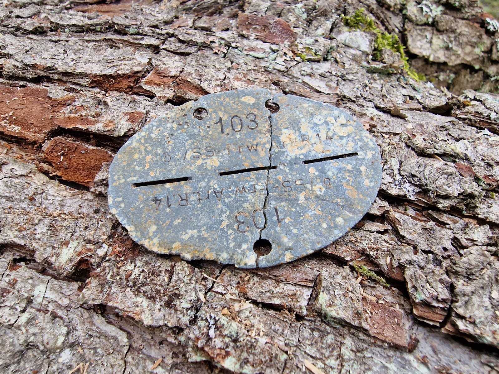 WW2 Original German ID Dog Tag. Battlefield relic
