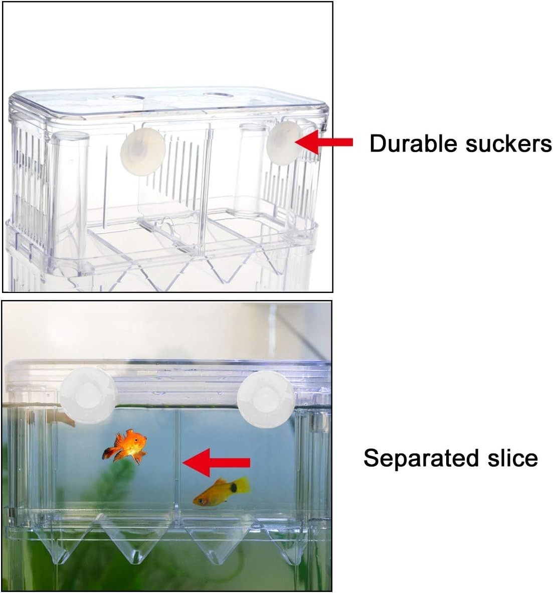 Aesthetic Plastic Fish Breeder Box - Prevent Fish Aggression & Enhance Survival