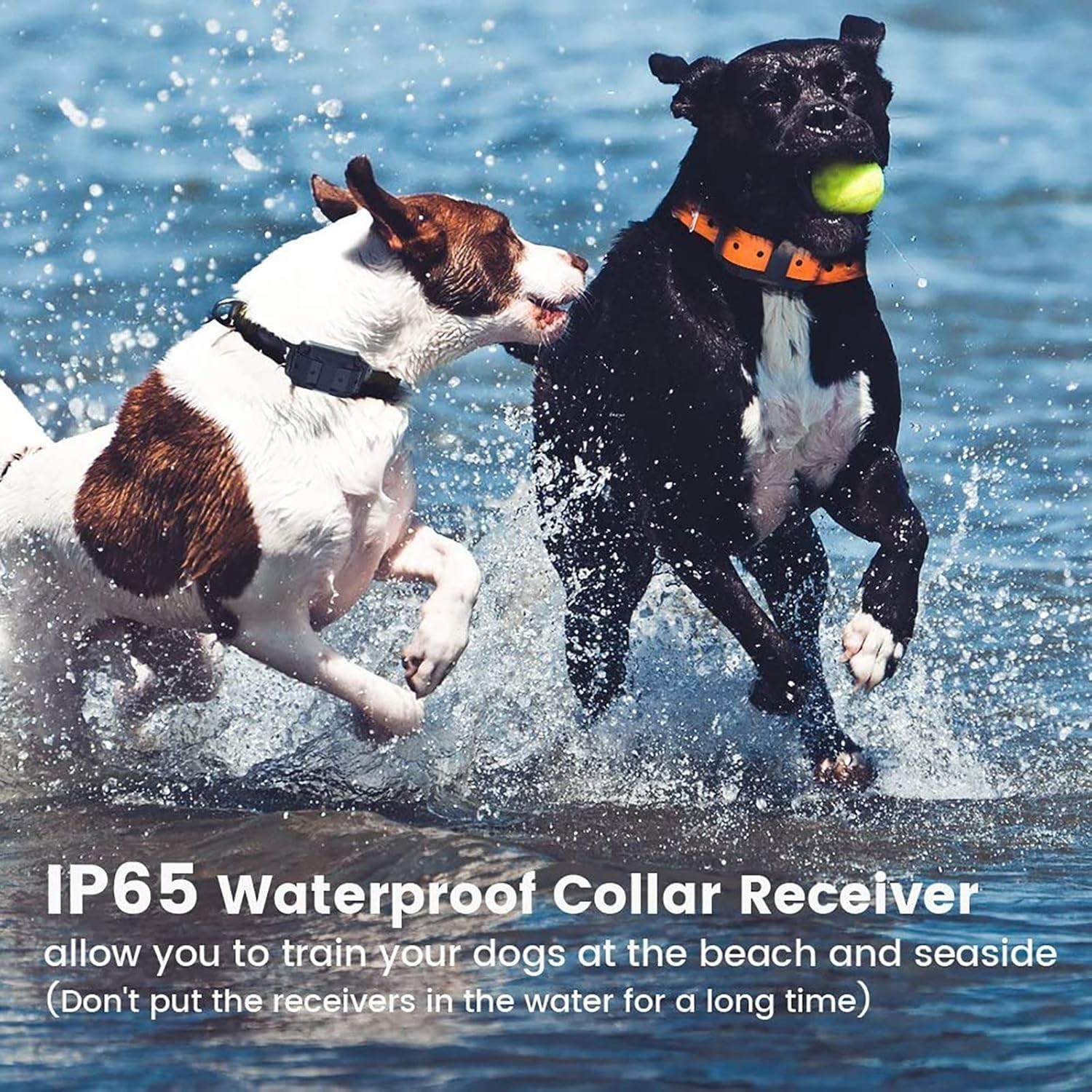 Dog Training Collar Remote 3000 FT Dog Shock Collars E-Collar Shock For 2 Dogs