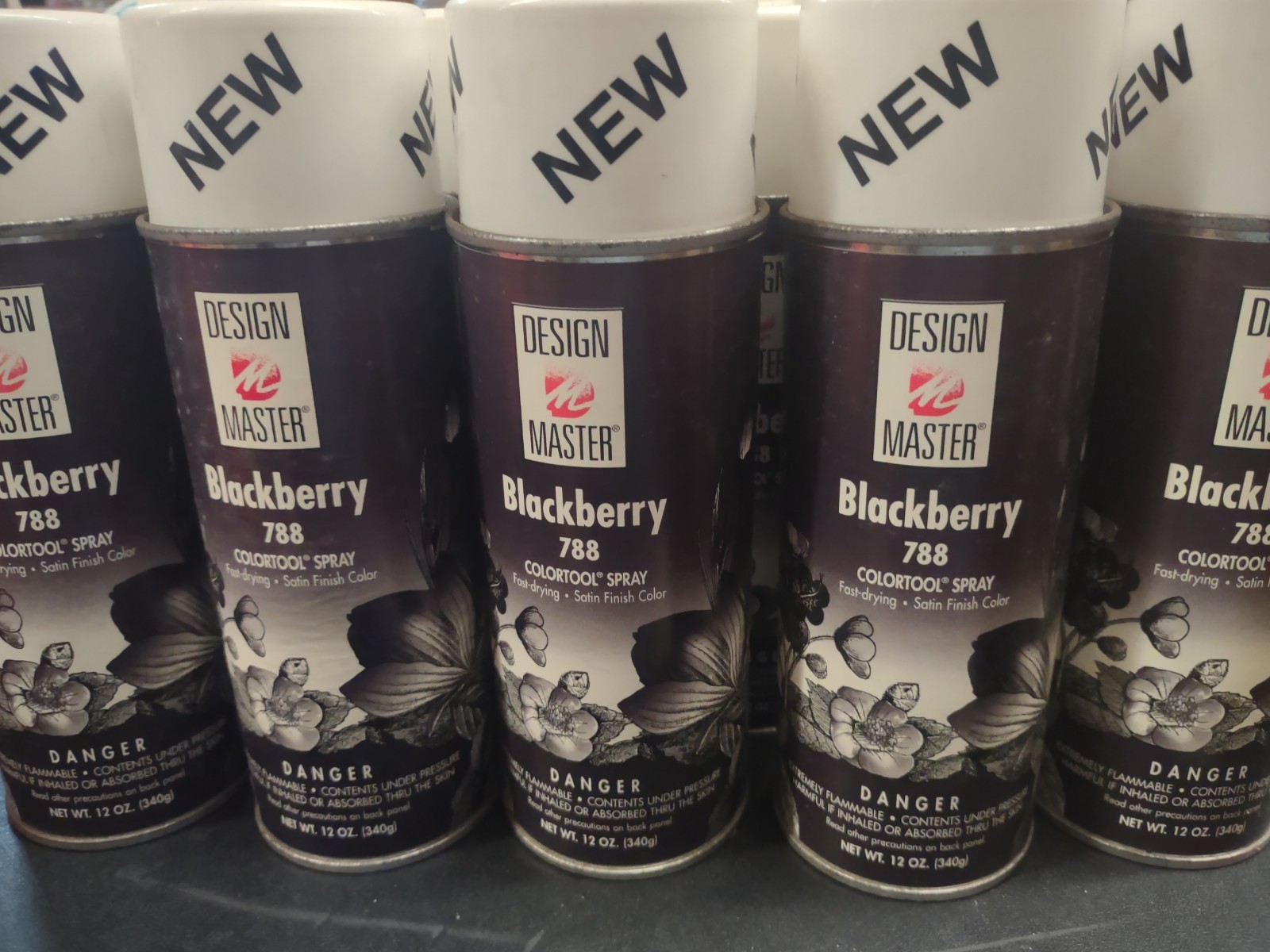 Design Master Florist Paint Blackberry, 12 Ounce Aerosol Spray For Silk or Fresh
