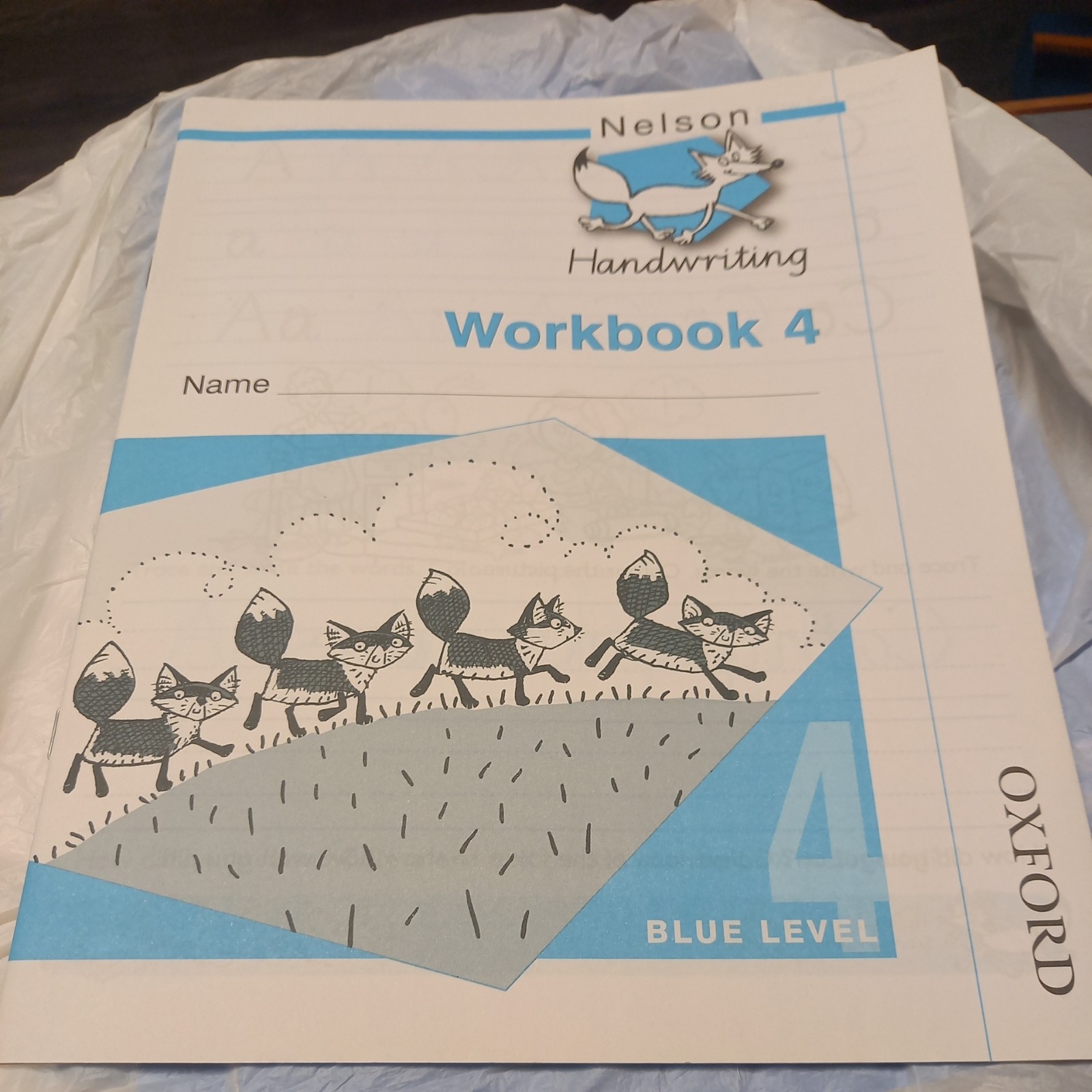 Nelson Handwriting Workbook 4 by Anita Warwick, John Jackman...