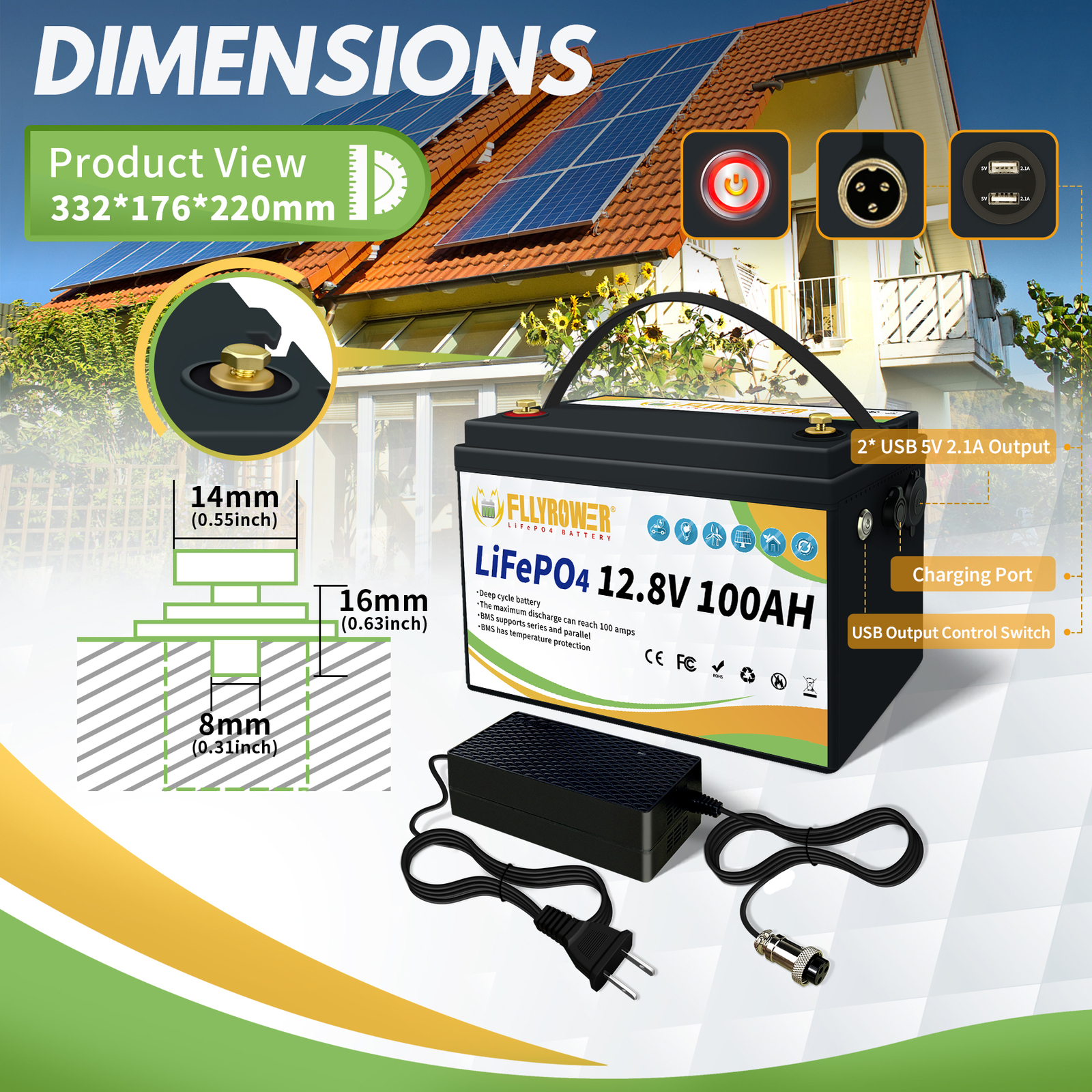 12V 100Ah LiFePO4 Lithium Battery Deep Cycle with BMS for Solar, Marine,Trolling