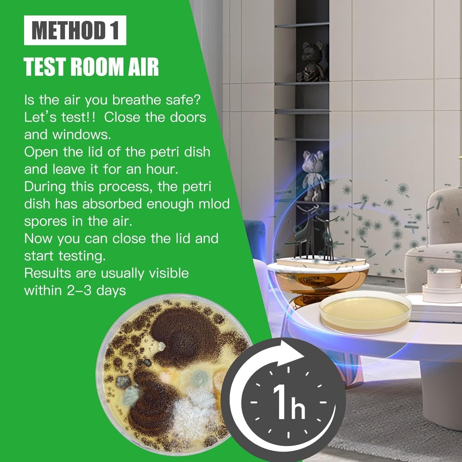 Complete DIY Mold Testing Kit with Free Lab Analysis & Identification Guide