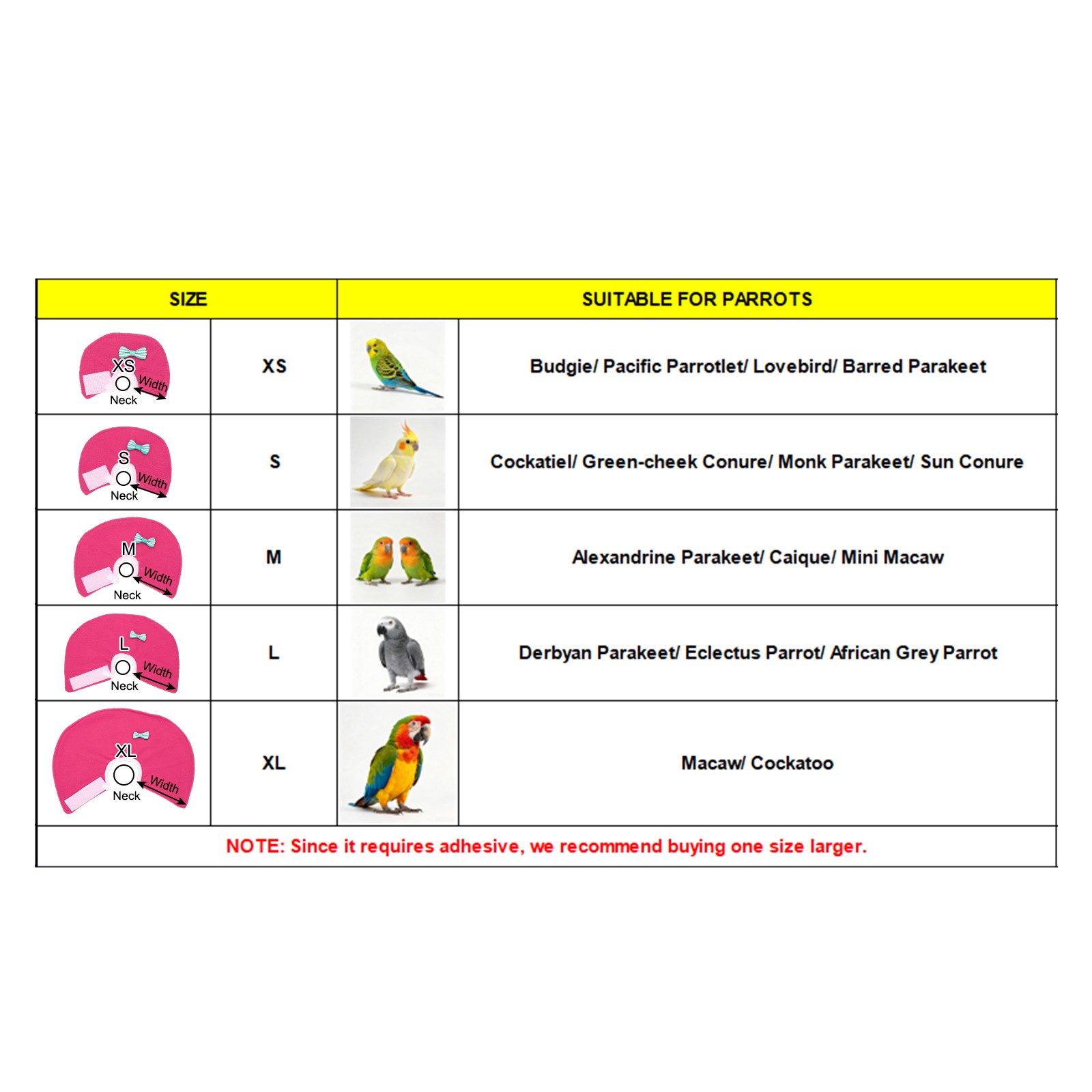 Bird Collars Bird Cone Collar Protective Cones (Pink, S, 3 Pcs)