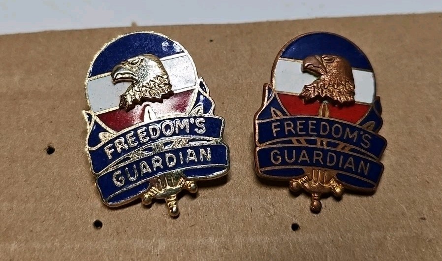 Vietnam US Army Forces Command FORSCOM Crest Freedom's Guardian Pin Insignia DUI