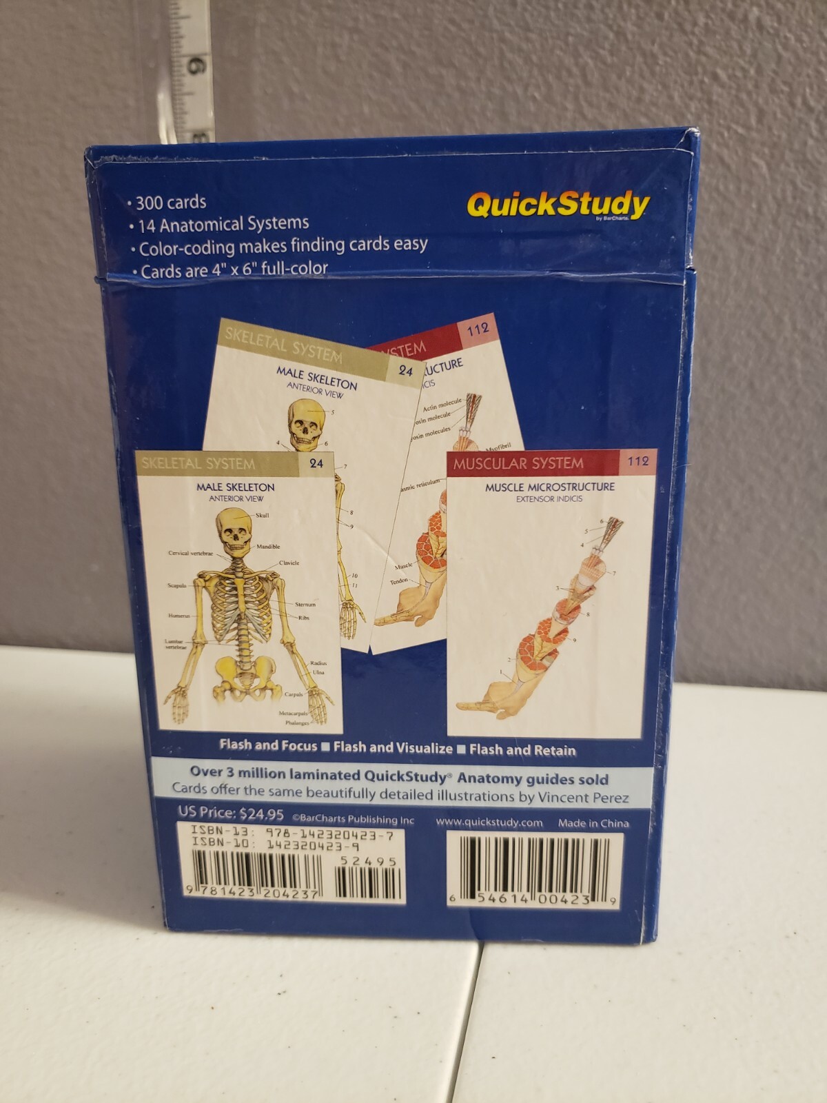 Medical Human Anatomy Educational Flash Cards