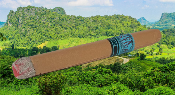 FAKE CIGAR With Real Band Red Ash Trick Joke Gag Lit Prop Prank Smoking Costume