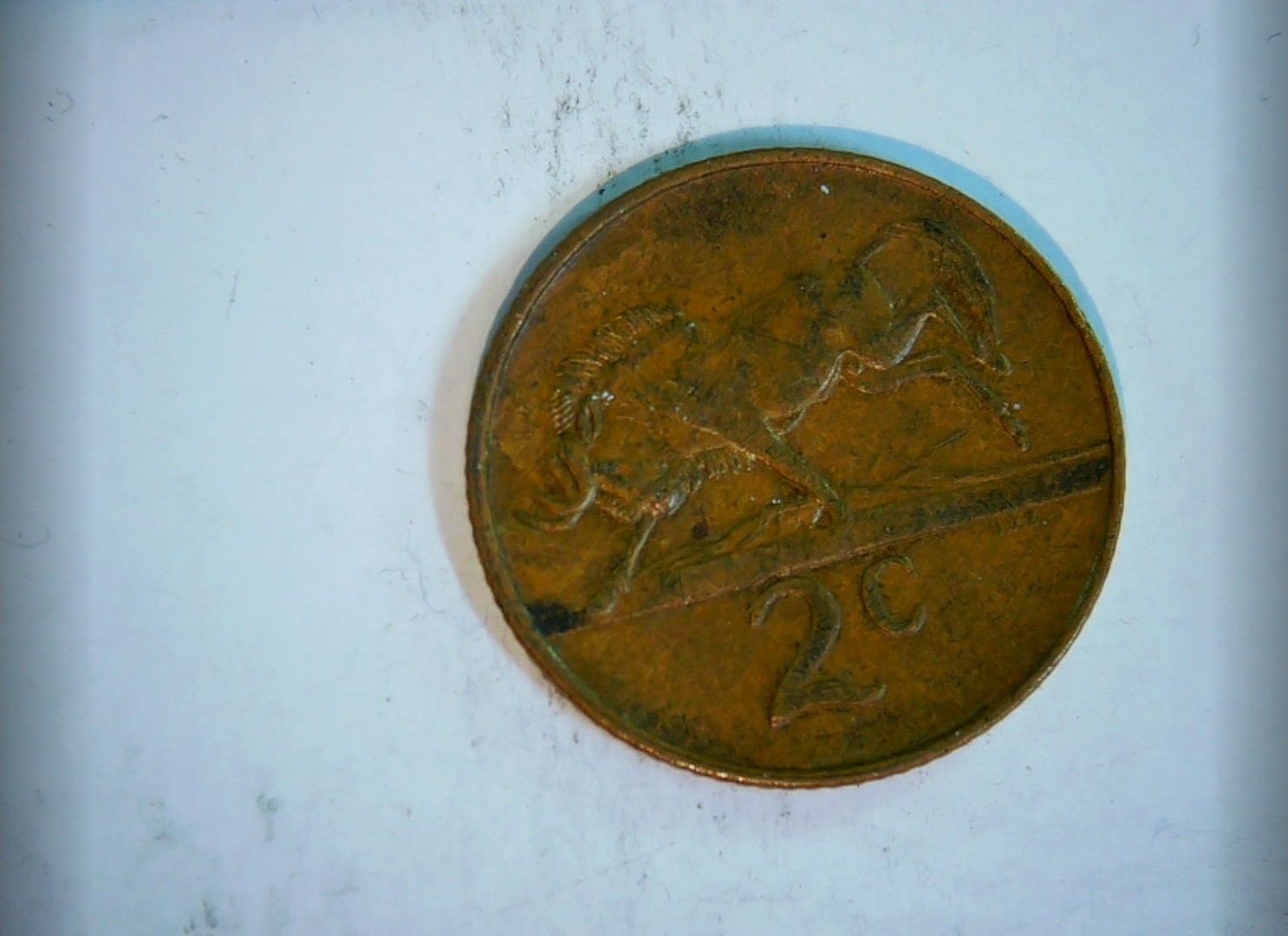 1983 Coin