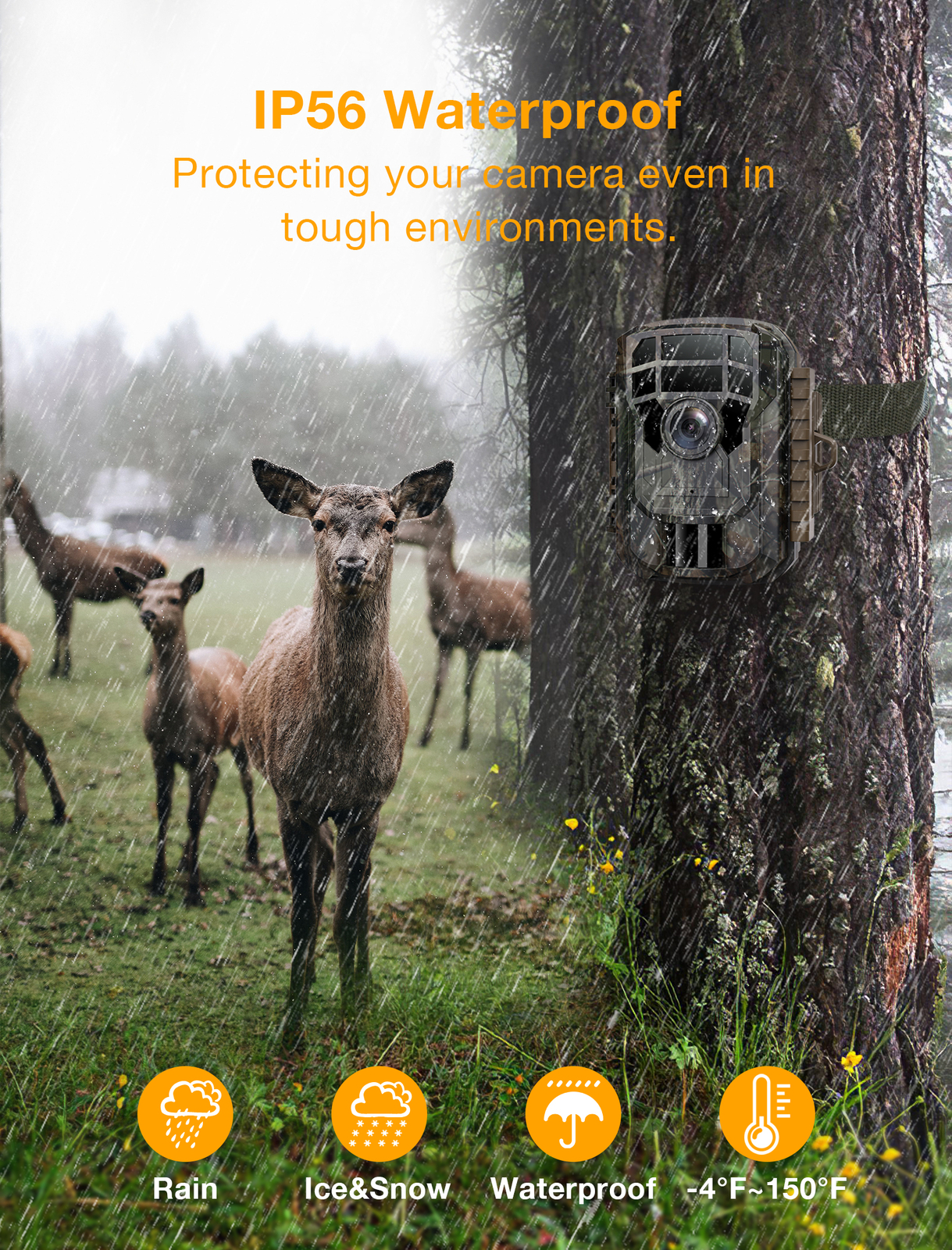2Pack Mini Trail Camera 24MP 1080P Wildlife Scouting Hunting Cam Night Vision US