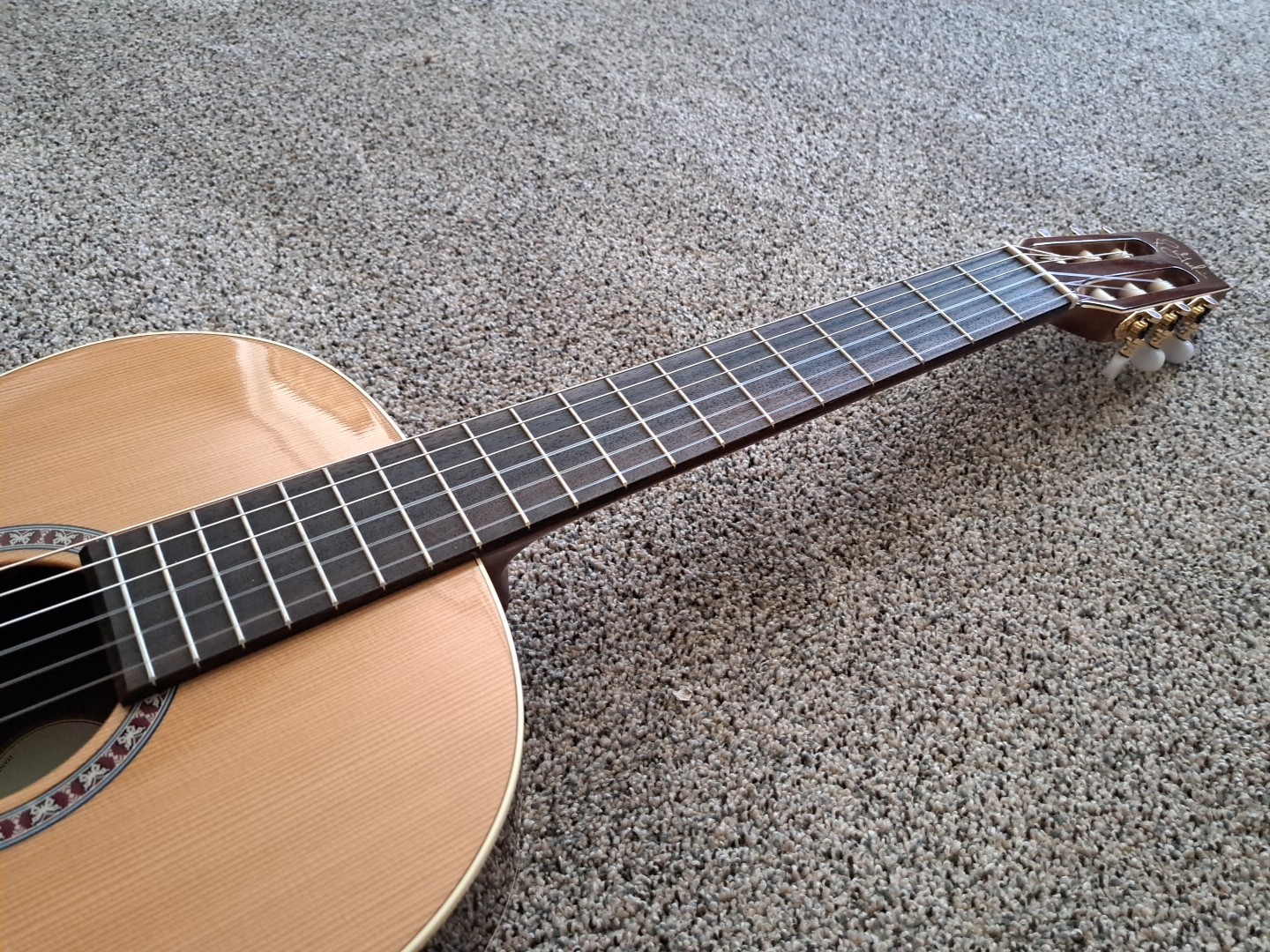 Godin Collection Acoustic Classical Guitar, Solid Cedar Top