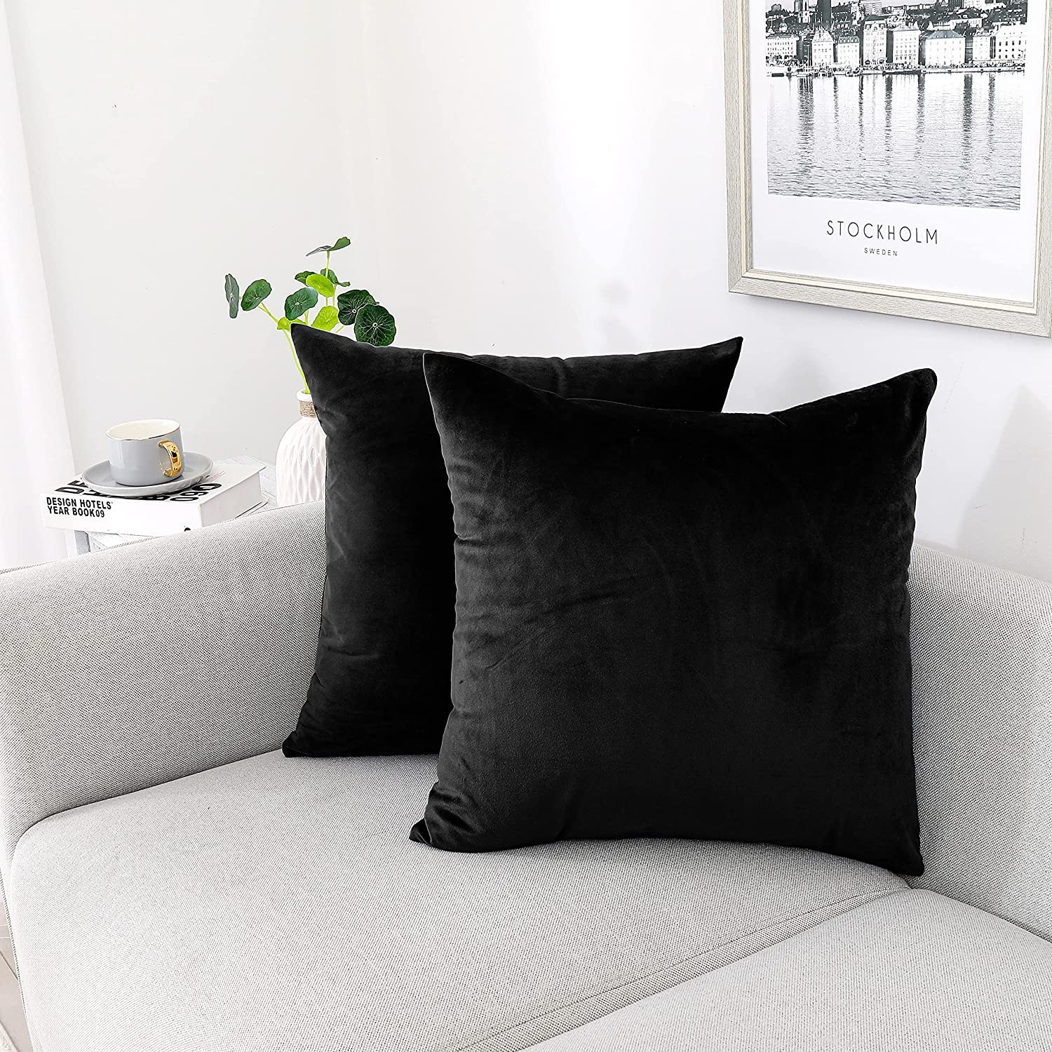 Decorative Throw Pillow Covers Pack of 2, Velvet Throw Pillow Cases for Couch Pi