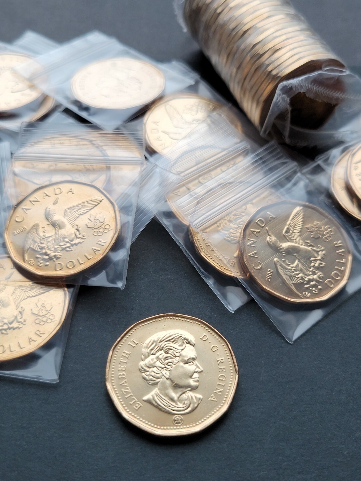 *** CANADA LUCKY LOONIE 2008 *** FROM MINT ROLL ***