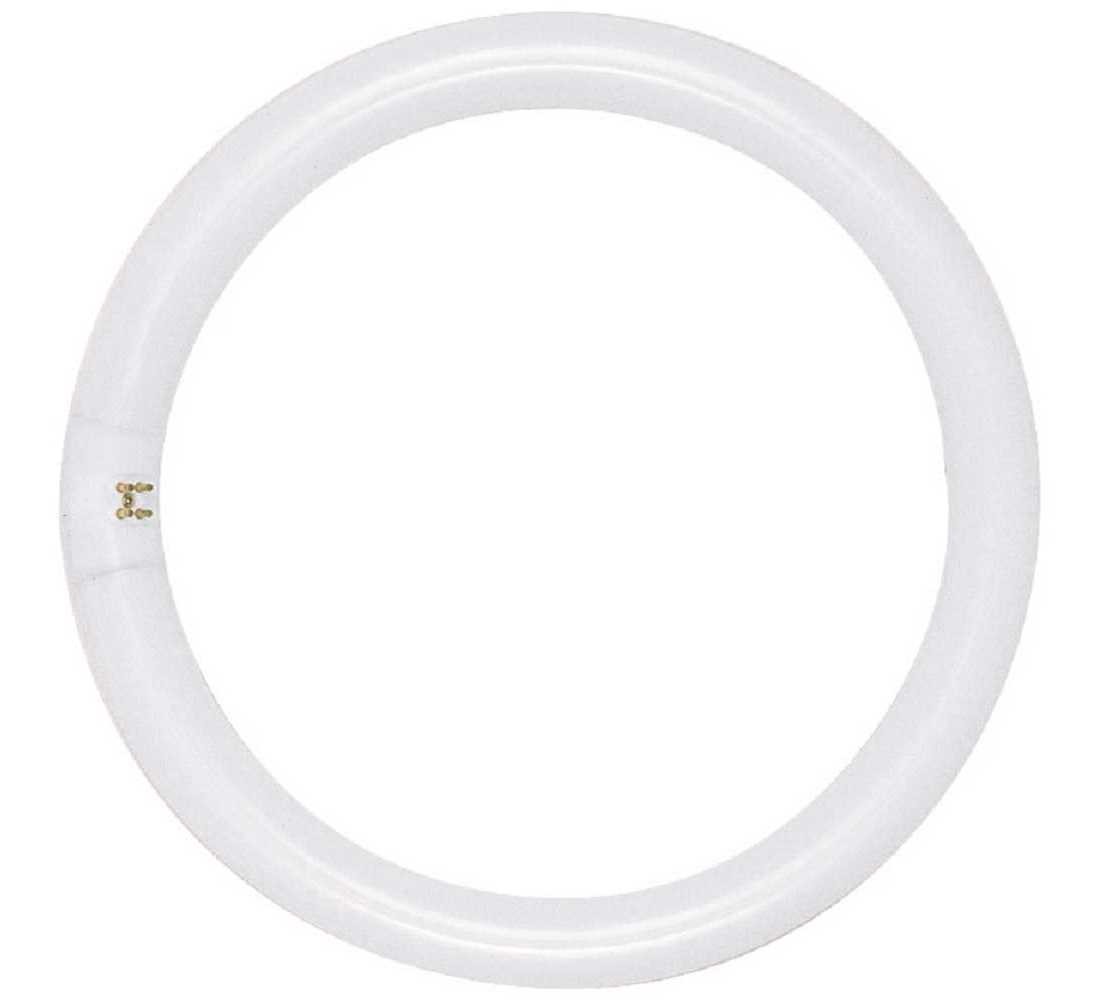 32-Watt 12 in. Circline T9 G10q Base Fluorescent Tube Light Bulb in Daylight - p