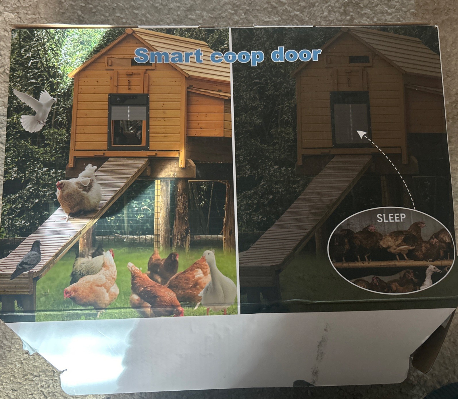 Automatic Chicken Coop Door Supports Solar - Remote and App Driven