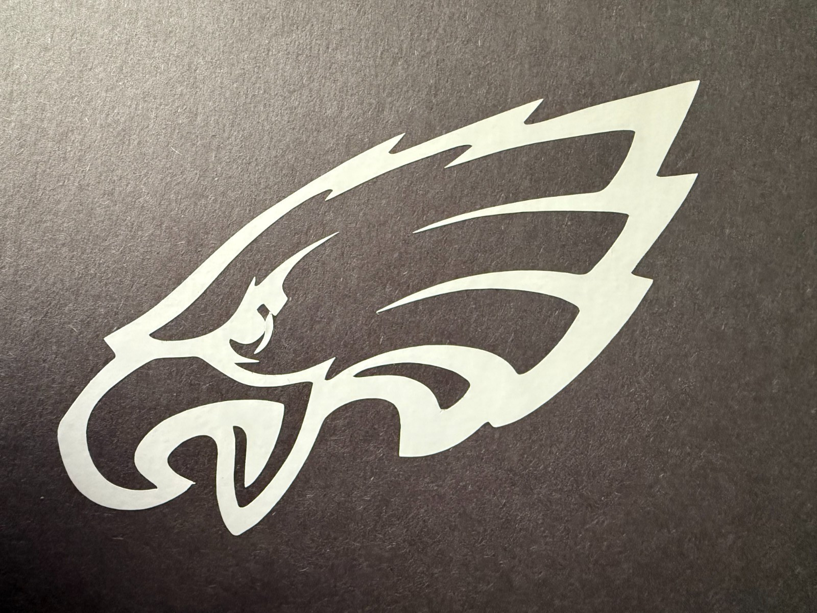PHILADELPHIA EAGLES BIRD VINYL DECAL STICKER USA