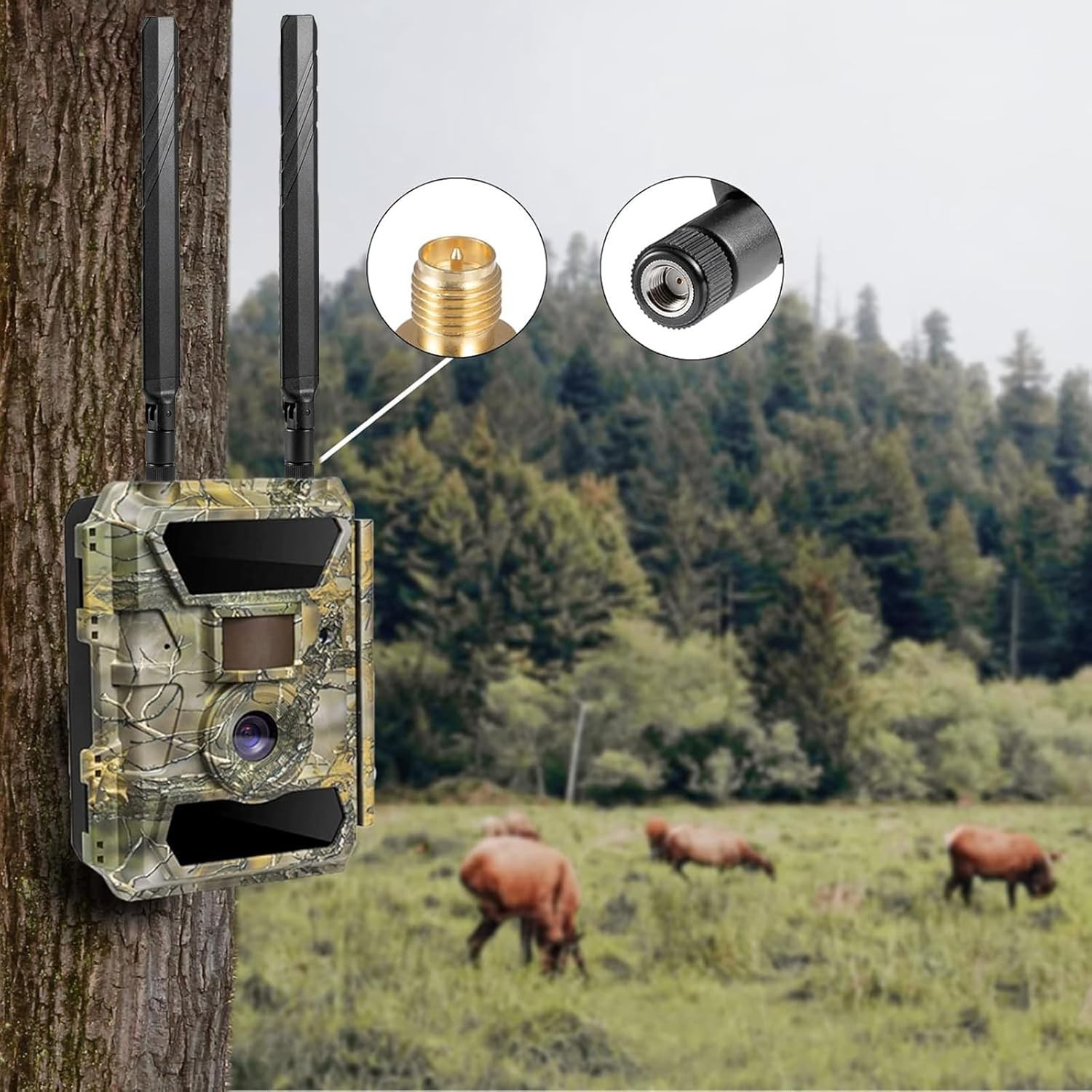 Cellular Trail Camera Replacement RP-SMA Male Antenna Compatible with Spypoint L