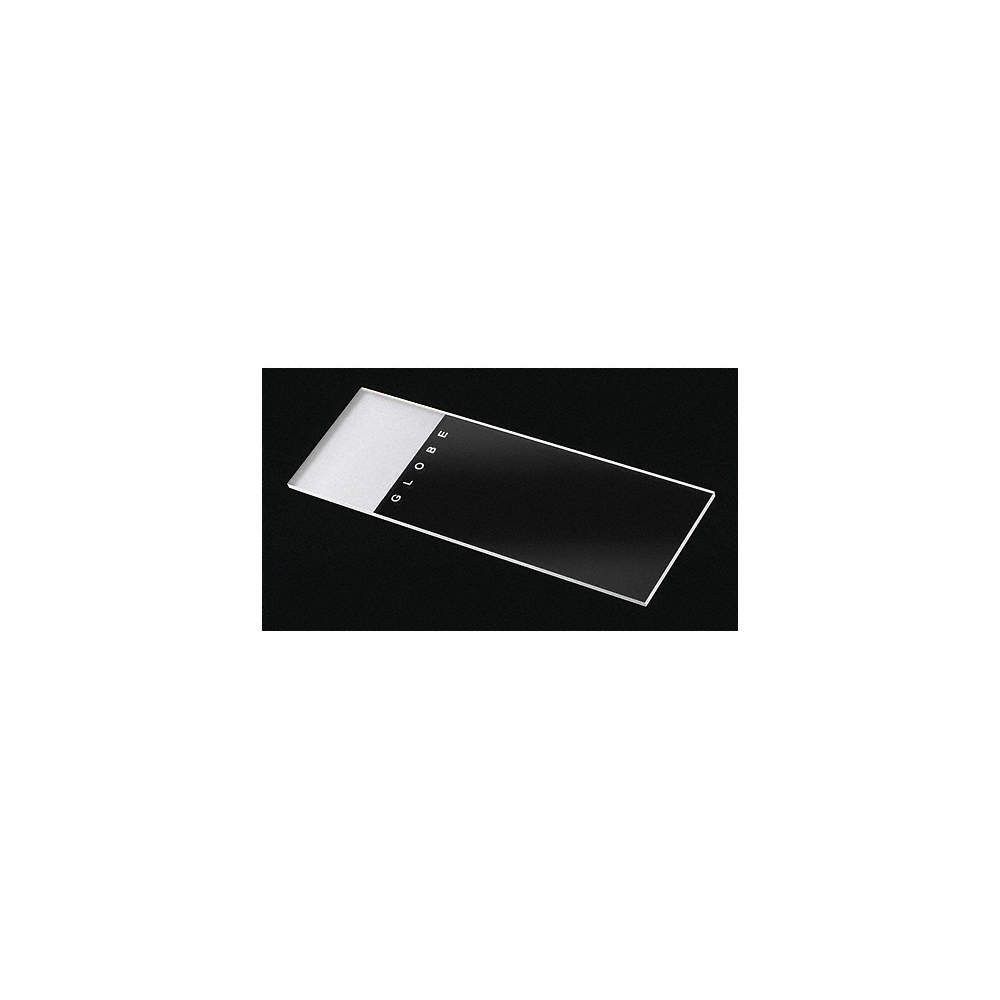 GLOBE SCIENTIFIC  Microscope Slide,Clear/White,PK144 46AW54