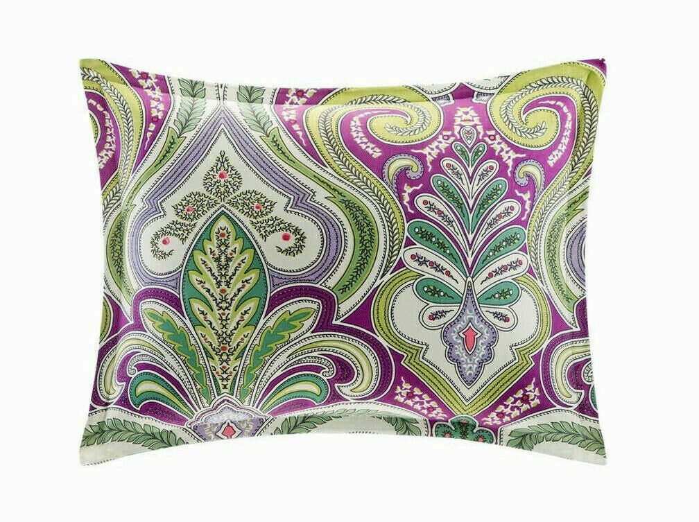 ECHO DESIGN 2pc "VINEYARD PAISLEY" STANDARD SHAMS MULTI   NIP