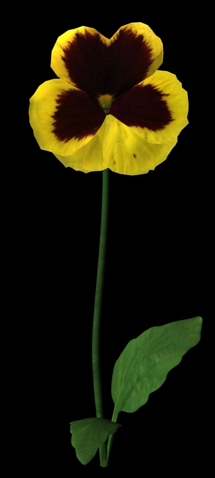 The Botanical 3D Models 75+ Fully Textured Flower & Plant Models in DXF Format