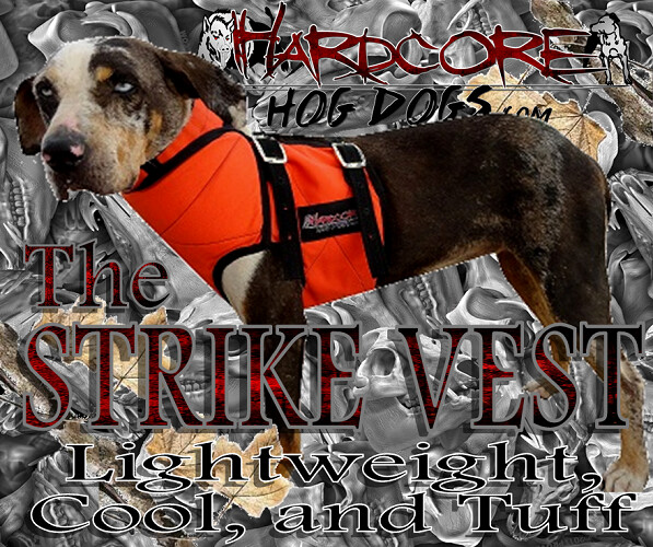 STRIKE VEST made with KEVLAR SHORT for hog dogs ORANGE LARGE