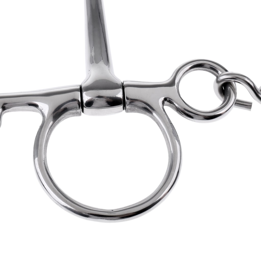 5\\\\\\\'\\\\\\\' Sturdy Polished Horse Bit With Curb Chain and Curb