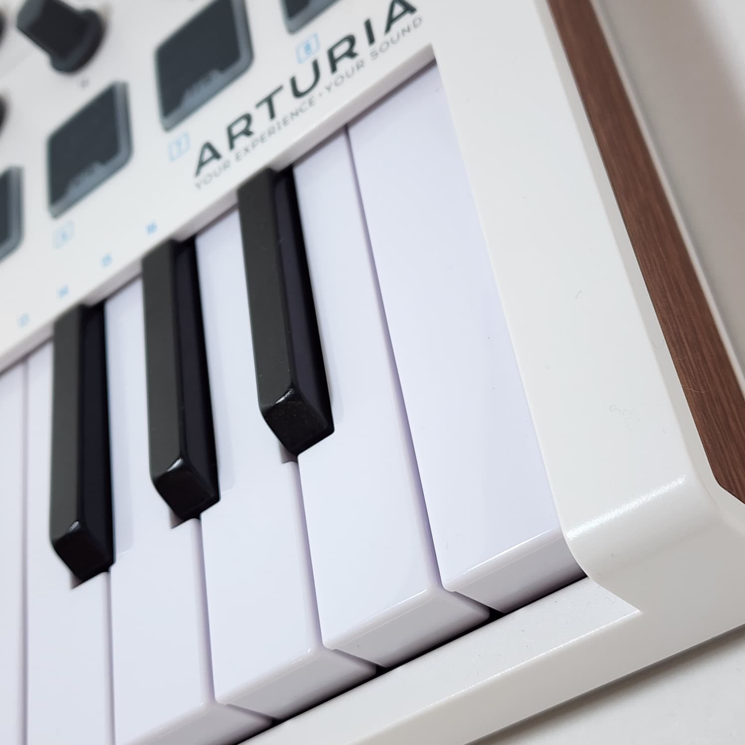 Arturia MiniLab MKII 25 Key Slim Keyboard Controller