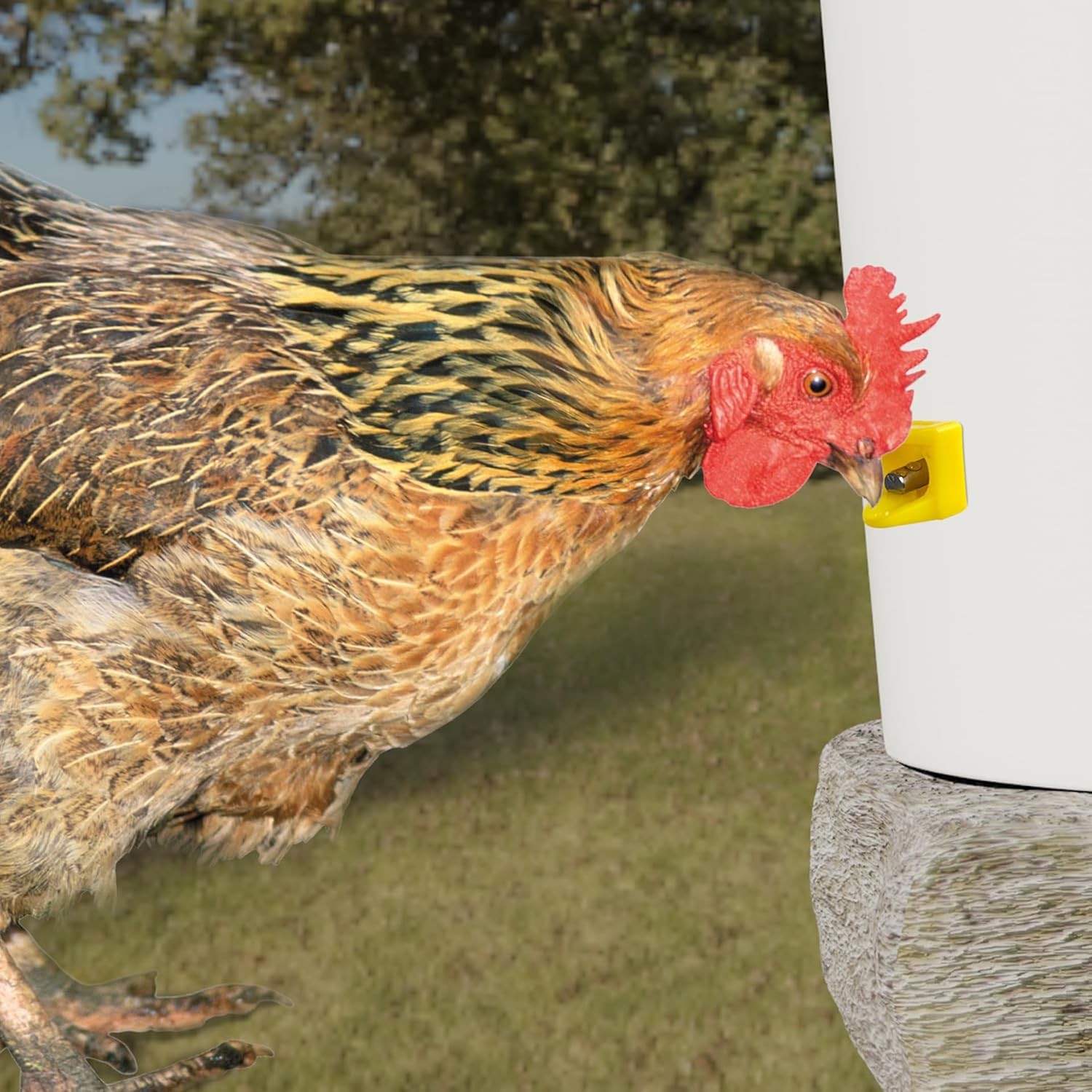 Chicken Waterer Nipples Horizontal Side Mount Anti-Leak Automatic Water System
