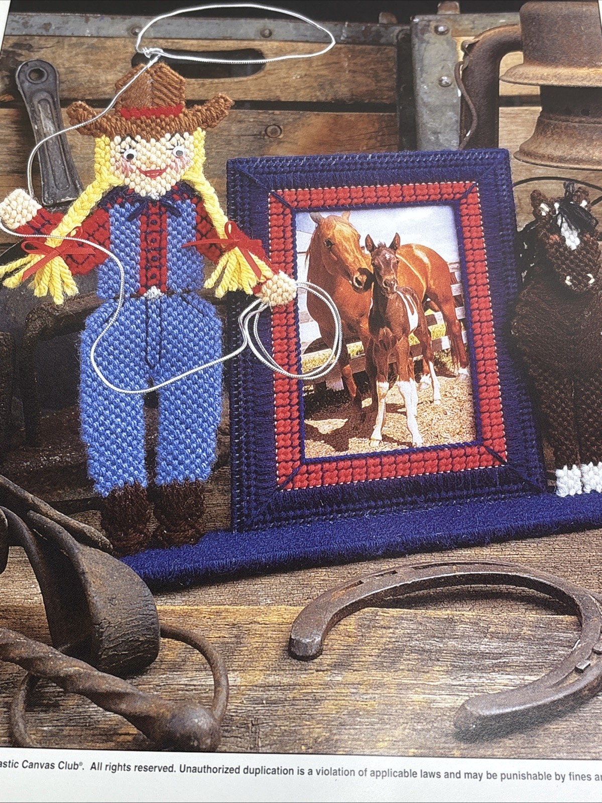 Cowgirl Picture Frame Annie's Attic Plastic Canvas Pattern Page