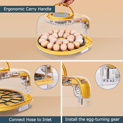 Incubators for Hatching Eggs, Egg Incubator with Automatic Egg Turning and Humid