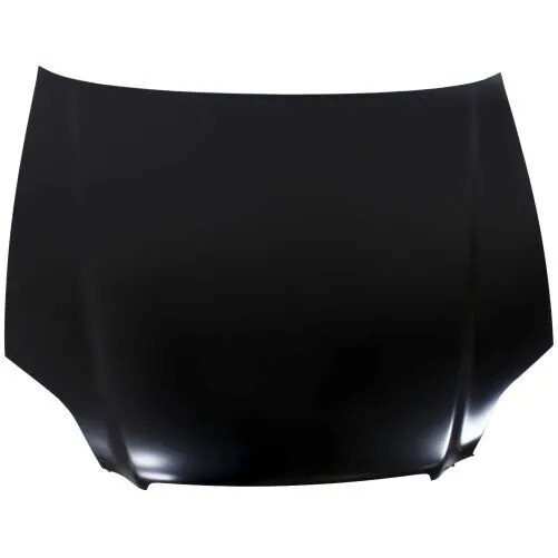 Sherman 2910-28-0 Hood For 1996-1998 Honda Civic NEW