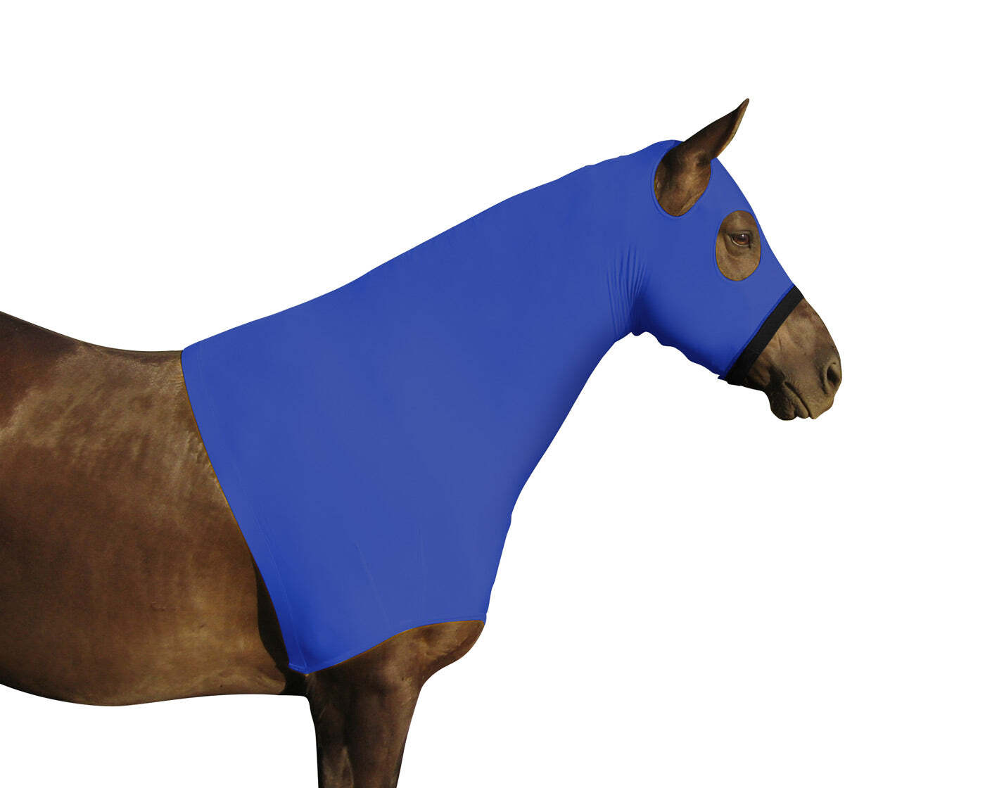 Paris Tack Comfort Stretch Lycra Sleazy Slicker Horse Hood Neck Cover