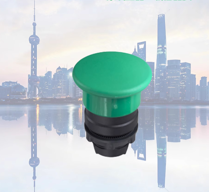 1PC NEW Schneider Green mushroom head ZB5AC3C ZB5-AC3C 22mm #YY