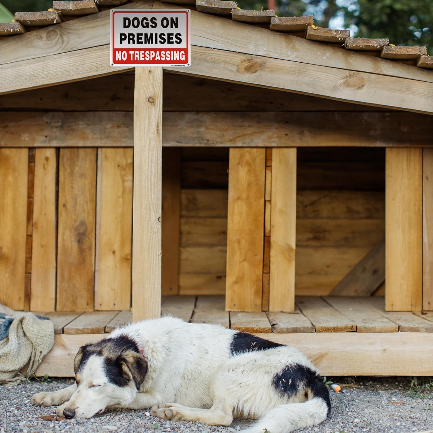 2 Pack Dogs On Premises Sign, No Trespassing Small Signage, 2-Pack(10x7)