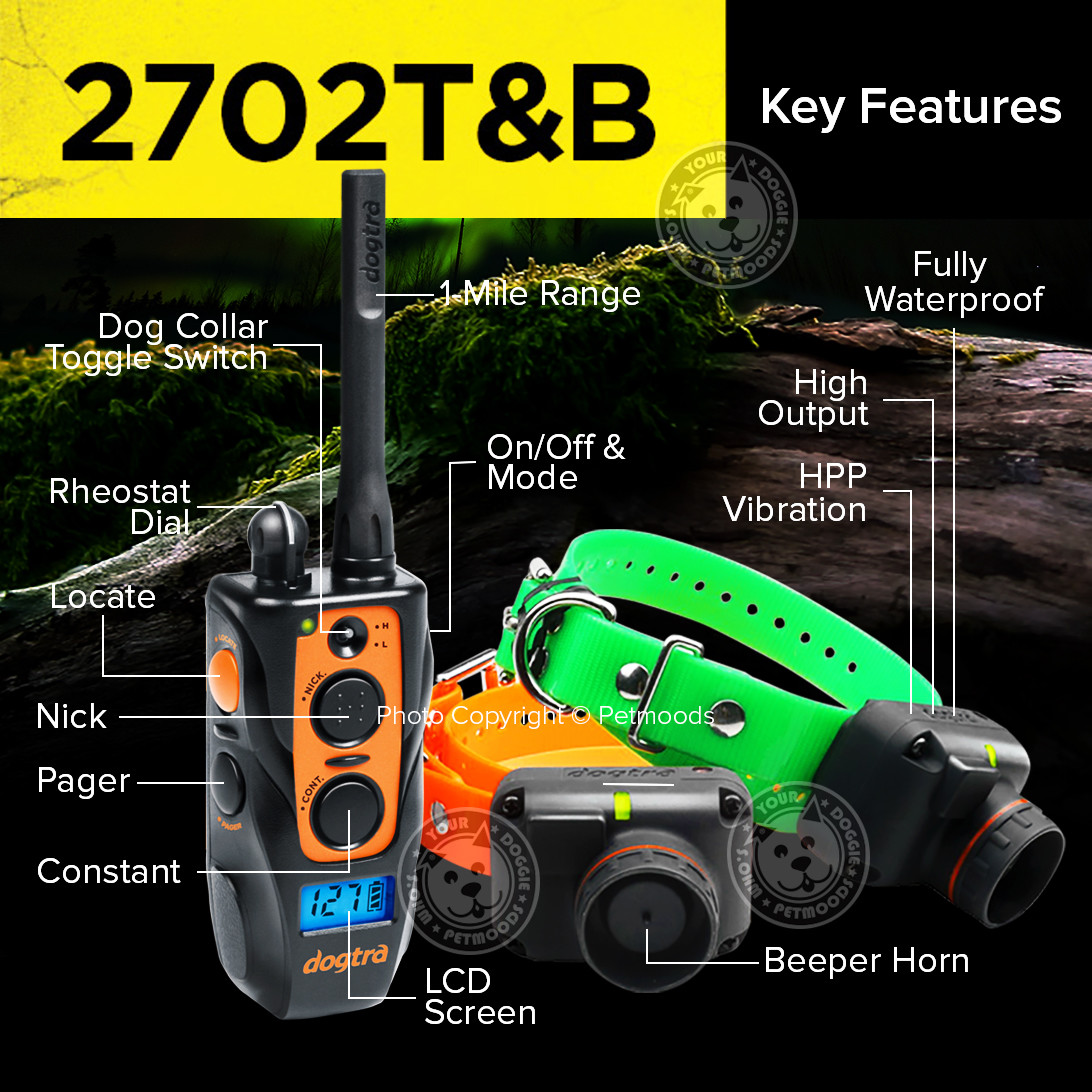 Dogtra 2702T&B Remote 2-Dog Training Beeper Collars Trainer System Train & Beep